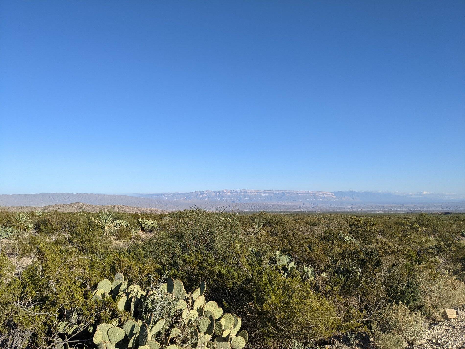 Ford Bronco Sport (Long) Trip Report: Big Bend National Park PXL_20211104_223345341
