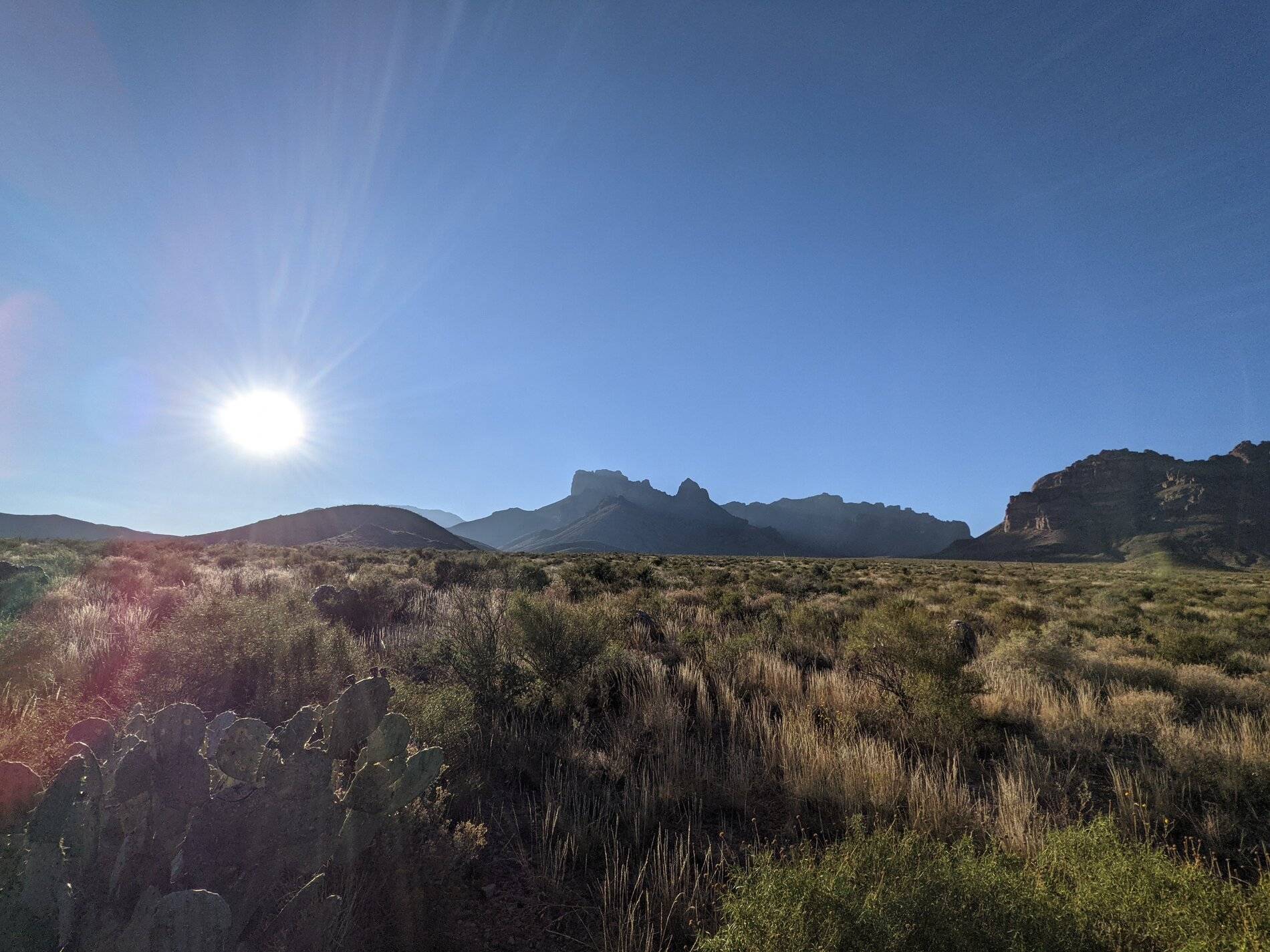Ford Bronco Sport (Long) Trip Report: Big Bend National Park PXL_20211104_225947308