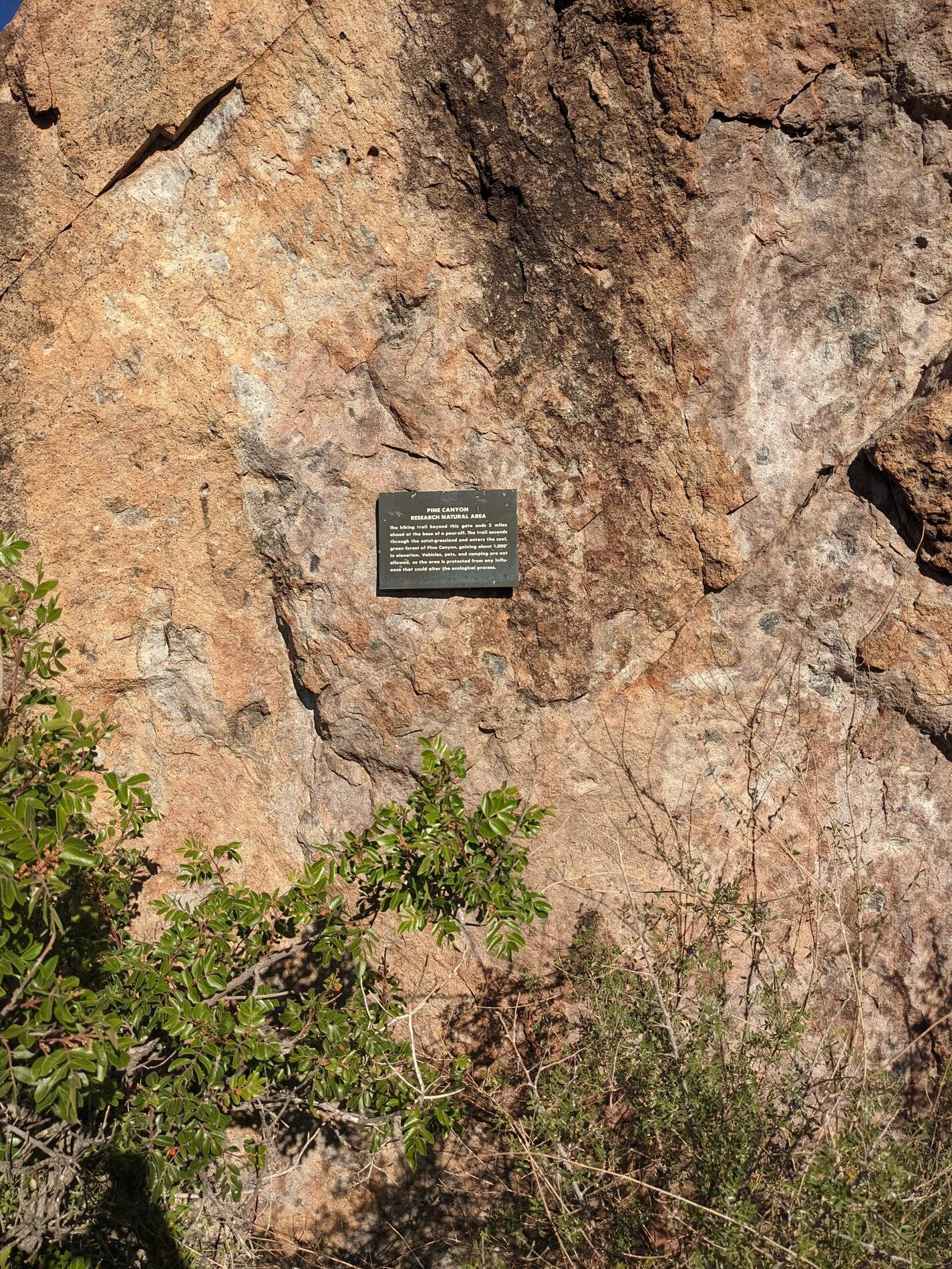 Ford Bronco Sport (Long) Trip Report: Big Bend National Park PXL_20211105_144226543