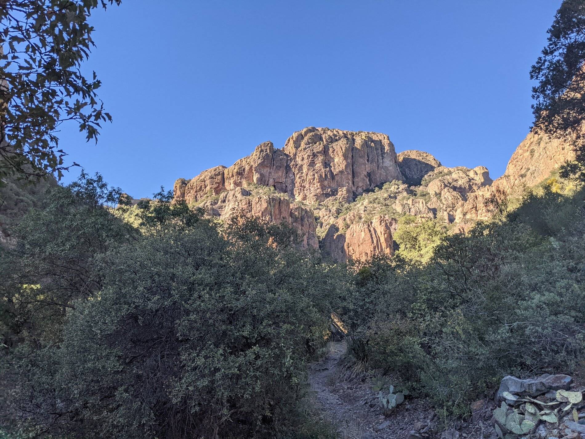 Ford Bronco Sport (Long) Trip Report: Big Bend National Park PXL_20211105_154159850