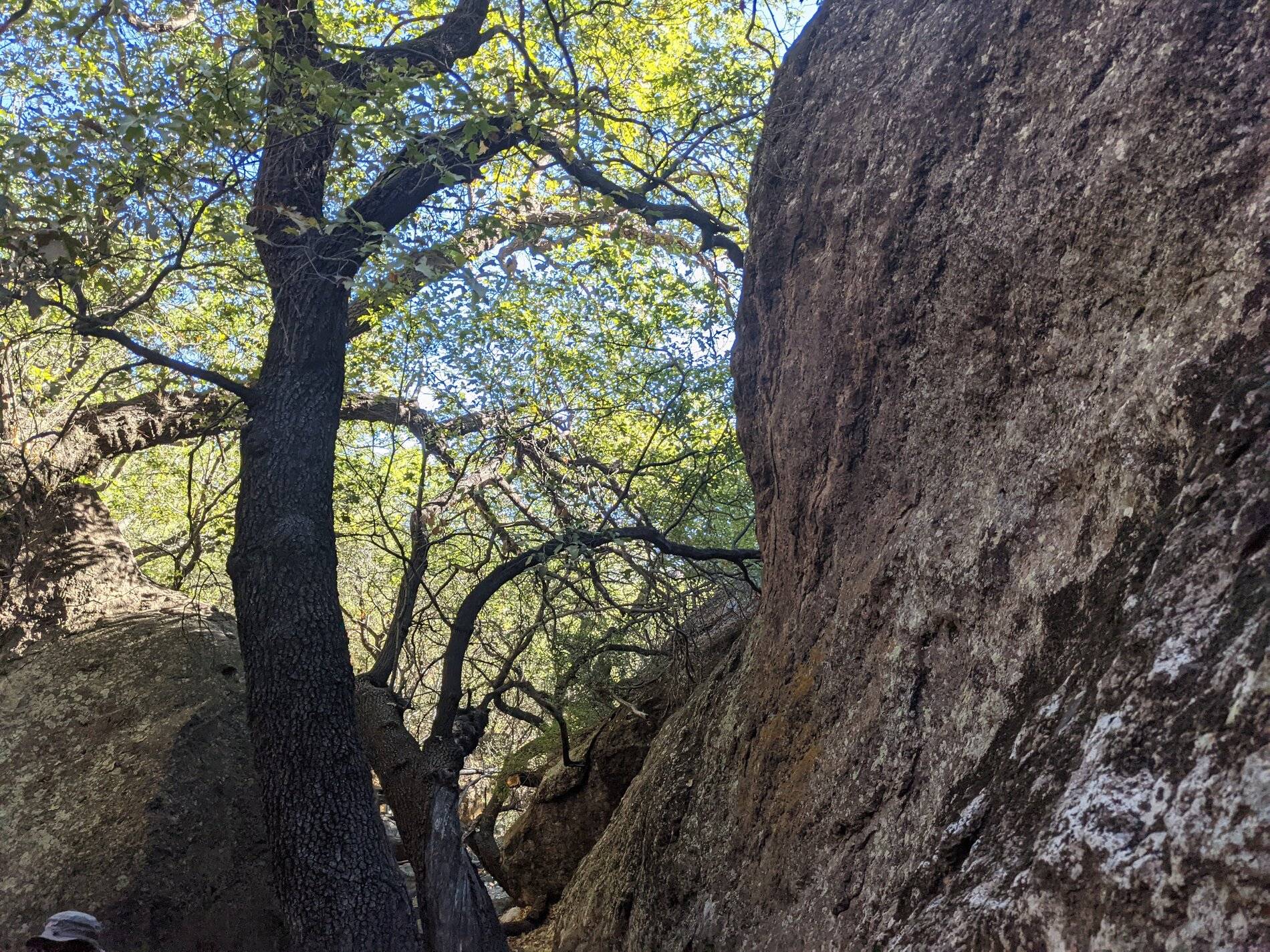 Ford Bronco Sport (Long) Trip Report: Big Bend National Park PXL_20211105_154927153