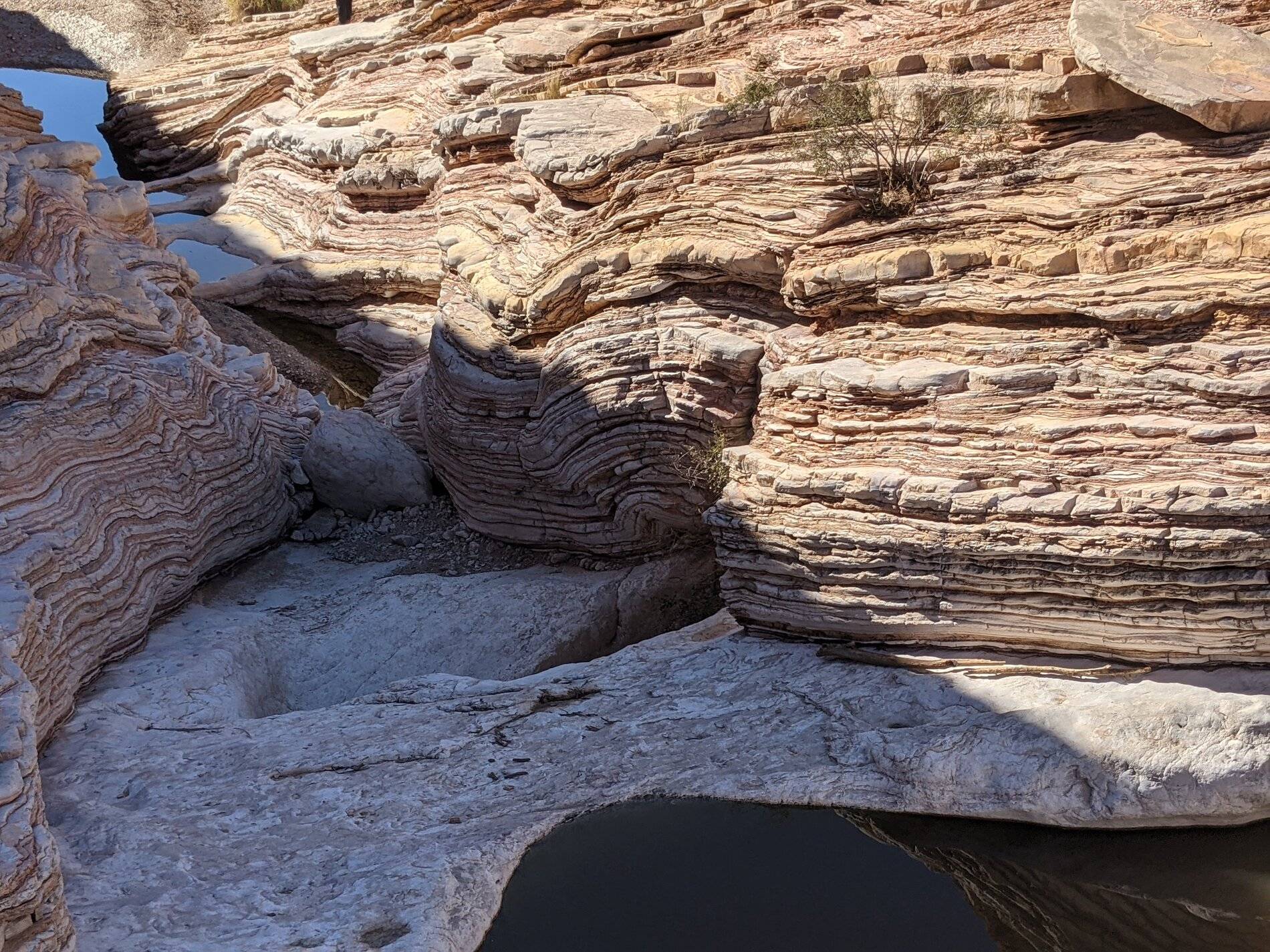 Ford Bronco Sport (Long) Trip Report: Big Bend National Park PXL_20211105_203750379