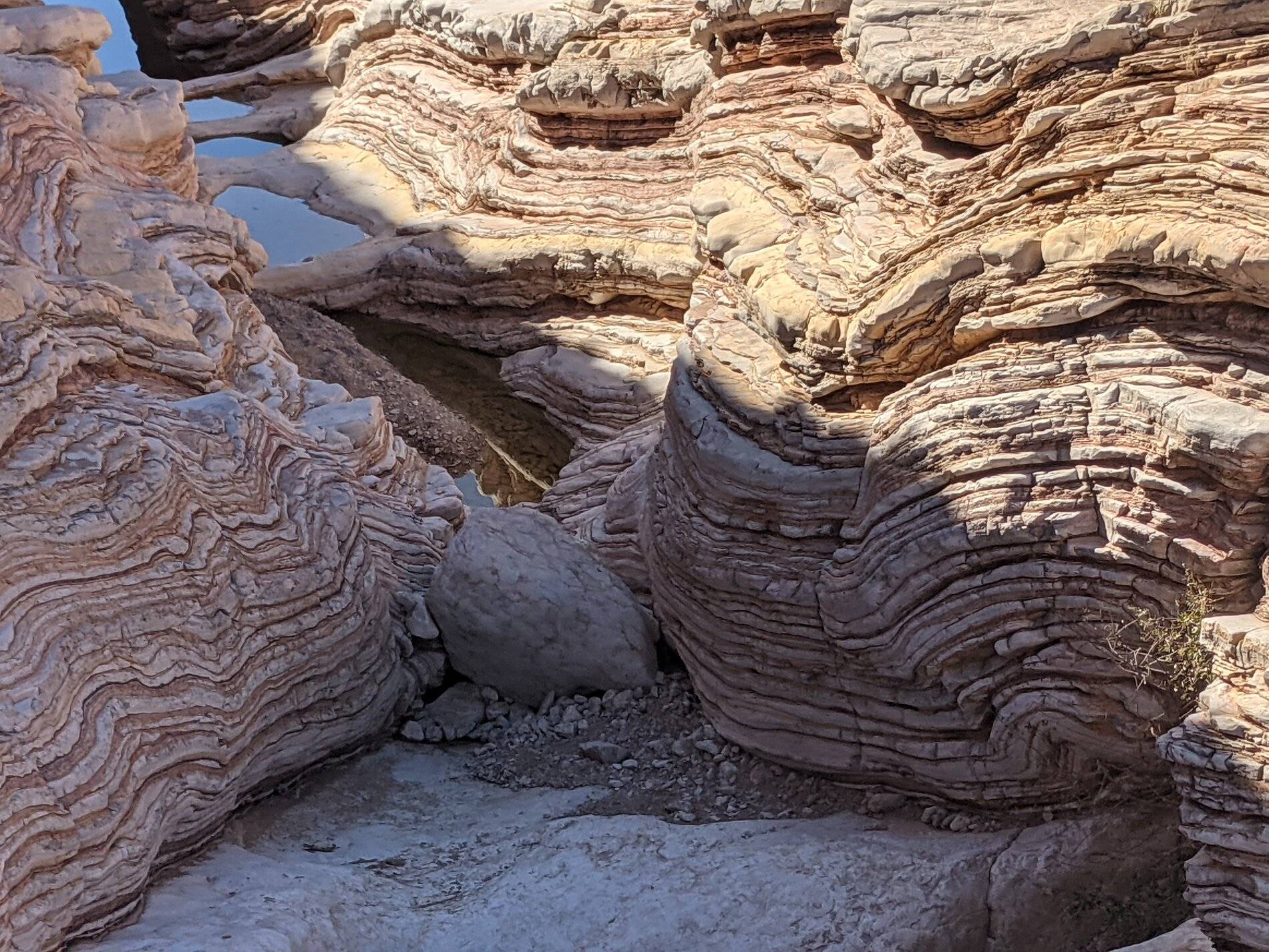 Ford Bronco Sport (Long) Trip Report: Big Bend National Park PXL_20211105_203757413
