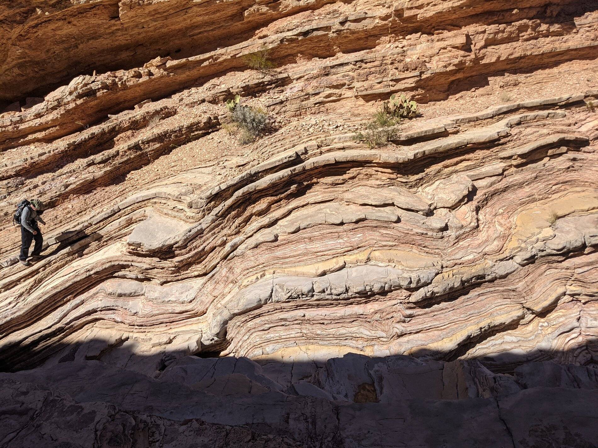 Ford Bronco Sport (Long) Trip Report: Big Bend National Park PXL_20211105_203932652