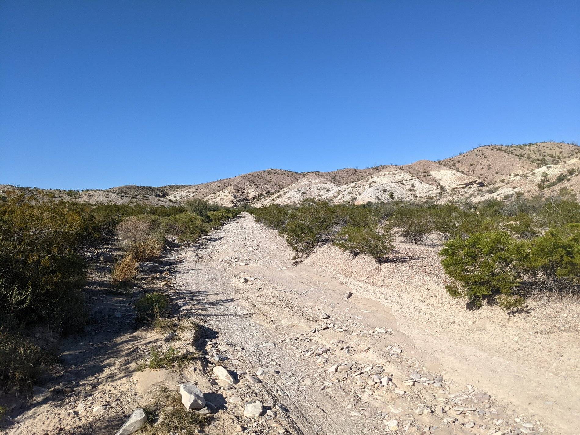 Ford Bronco Sport (Long) Trip Report: Big Bend National Park PXL_20211105_211917106