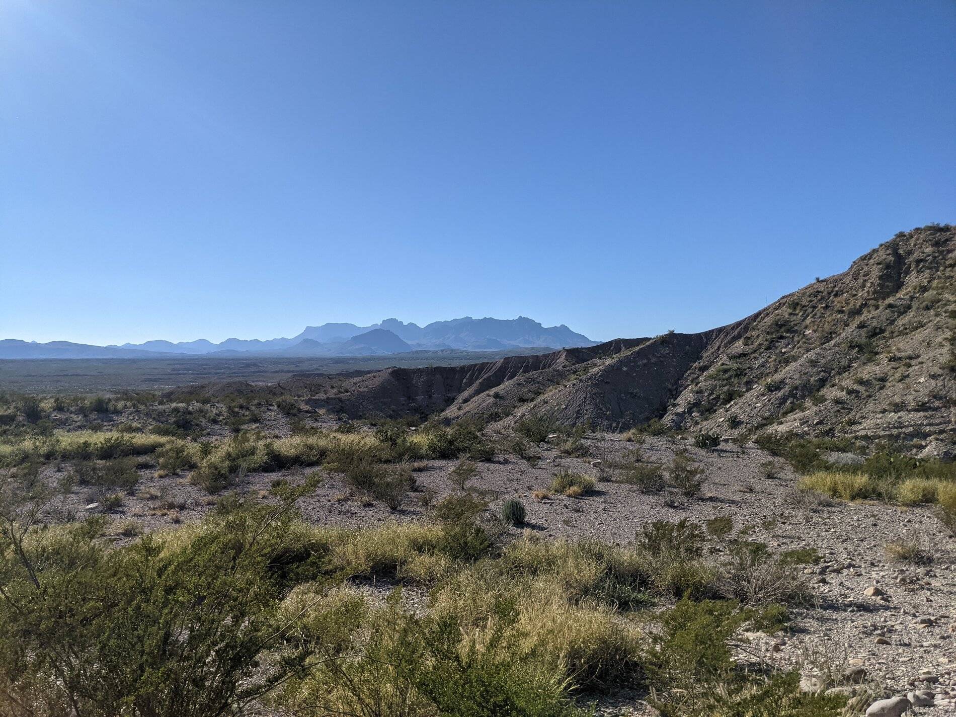 Ford Bronco Sport (Long) Trip Report: Big Bend National Park PXL_20211105_214038382