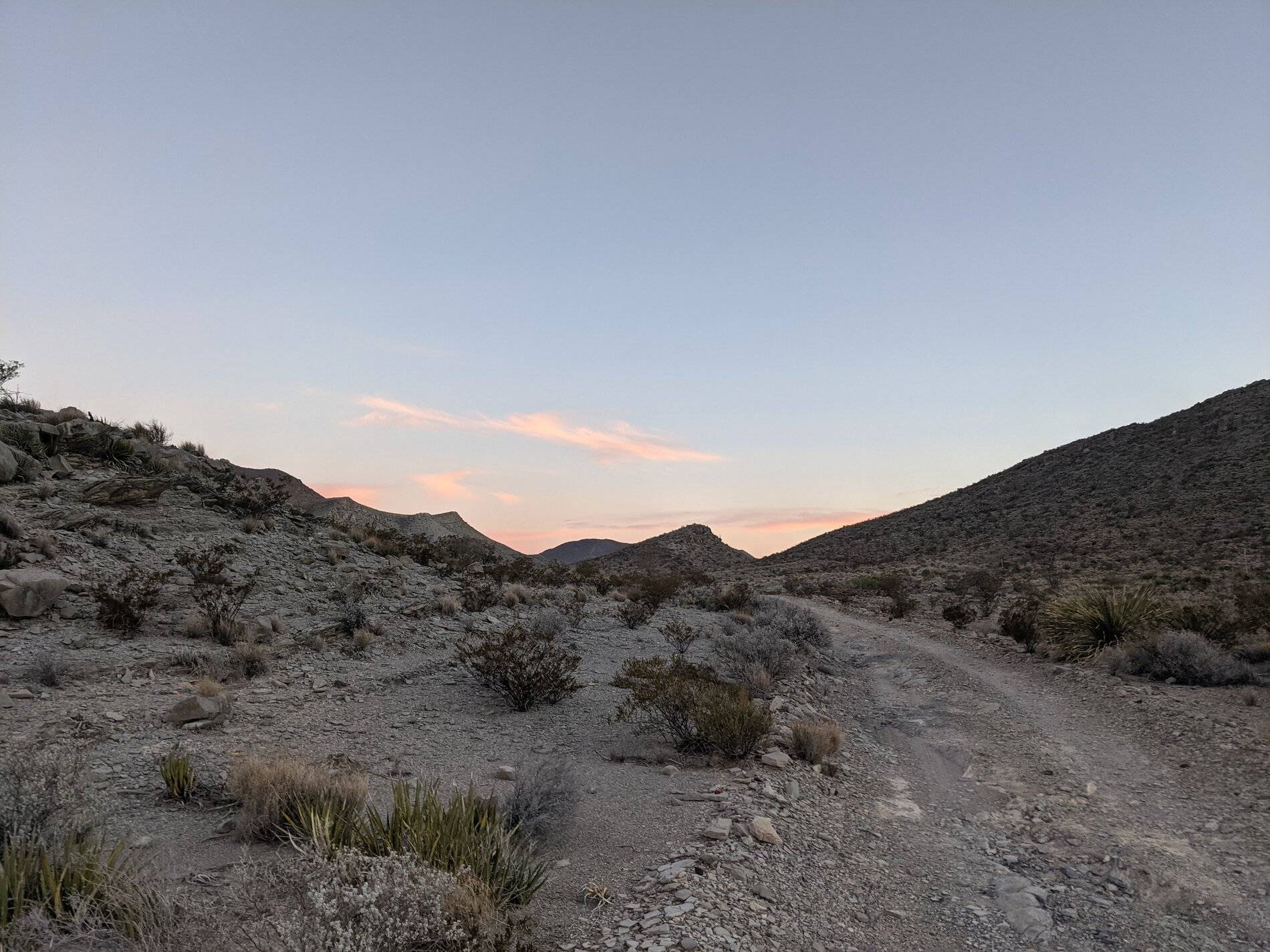 Ford Bronco Sport (Long) Trip Report: Big Bend National Park PXL_20211106_130626993