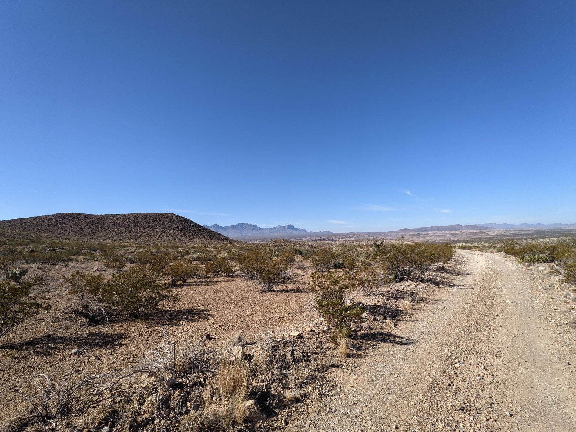 Ford Bronco Sport (Long) Trip Report: Big Bend National Park PXL_20211106_161512478