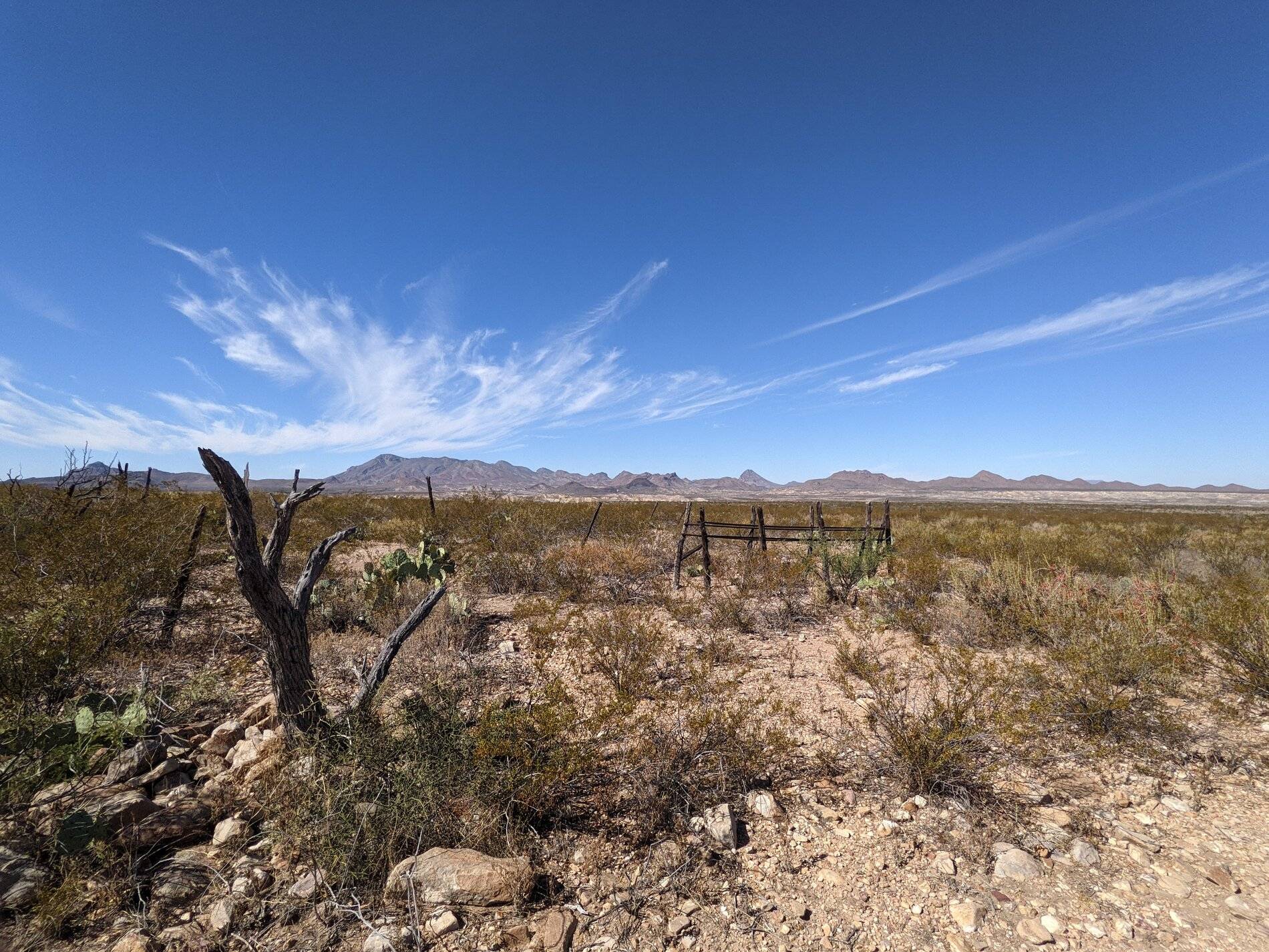 Ford Bronco Sport (Long) Trip Report: Big Bend National Park PXL_20211106_182930881