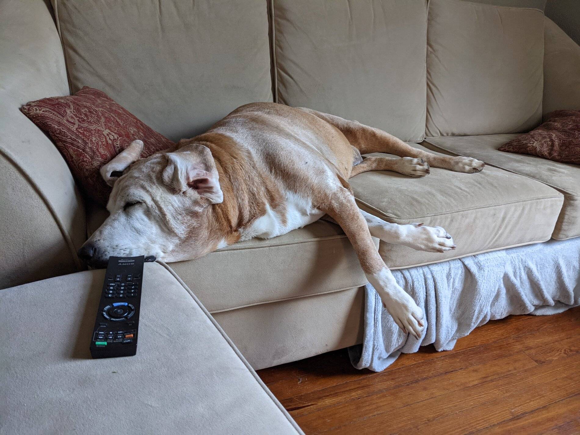 Ford Bronco Sport (Long) Trip Report: Big Bend National Park PXL_20210809_221230507