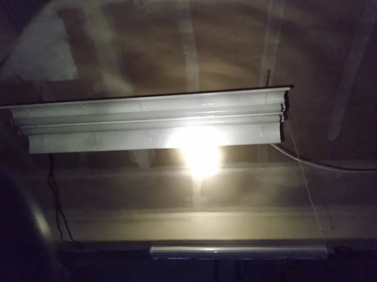 Ford Bronco Sport co-pilot 360 vs 360+ IMG_20211130_164059467