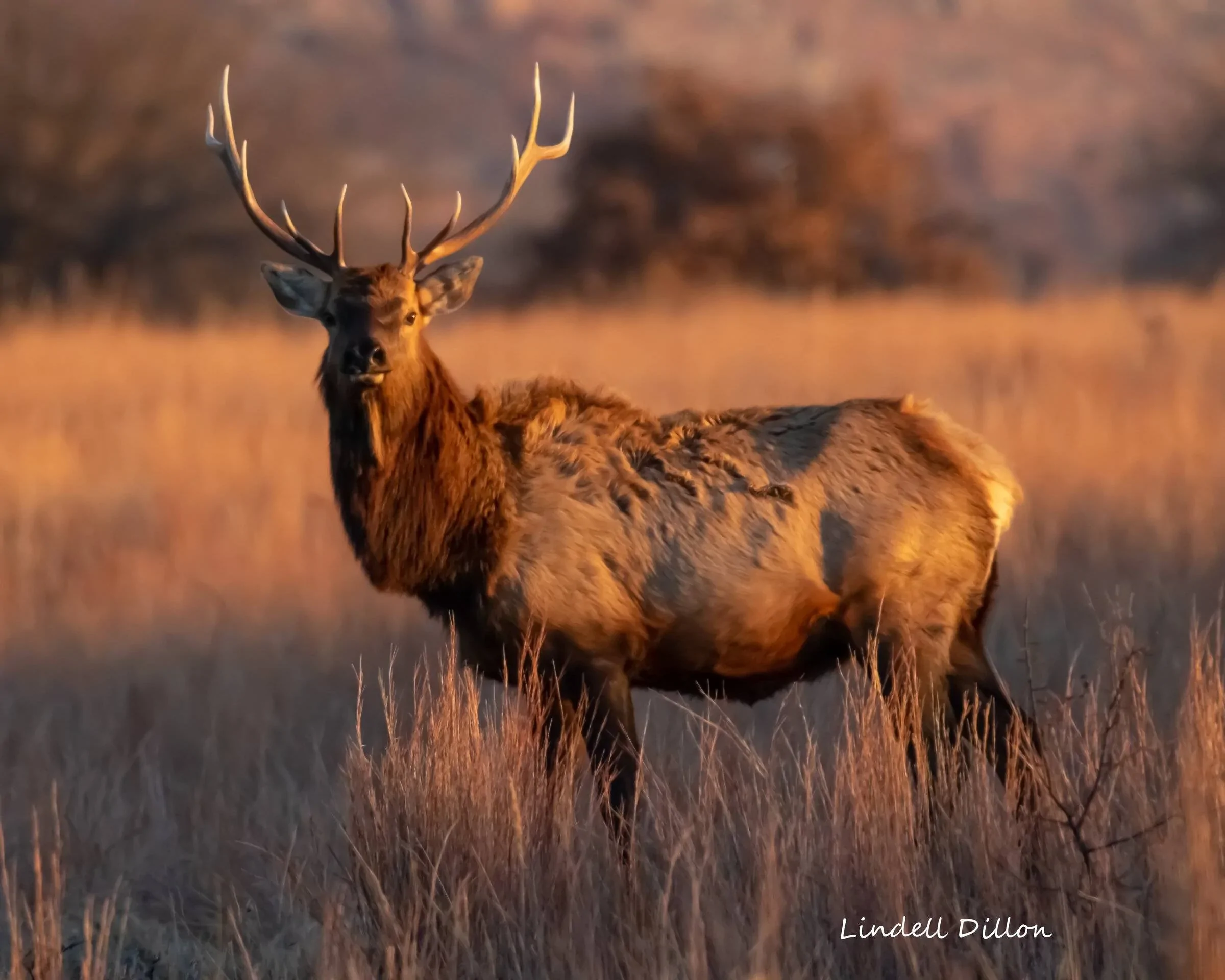 Ford Bronco Sport Visited Wichita Mountains Wildlife Refuge Wichitas 023