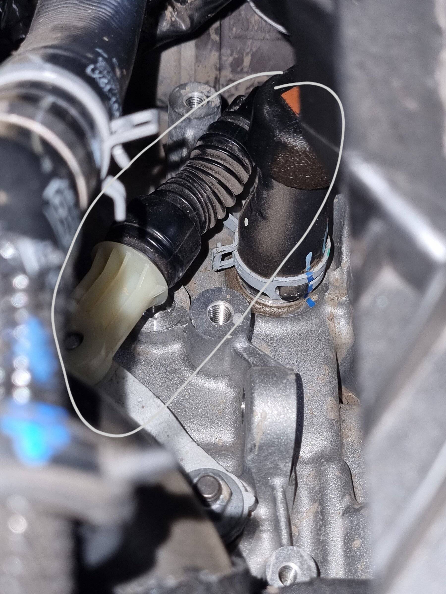 Ford Bronco Sport On this episode of, "Is this noise normal?"... 20211209_175831