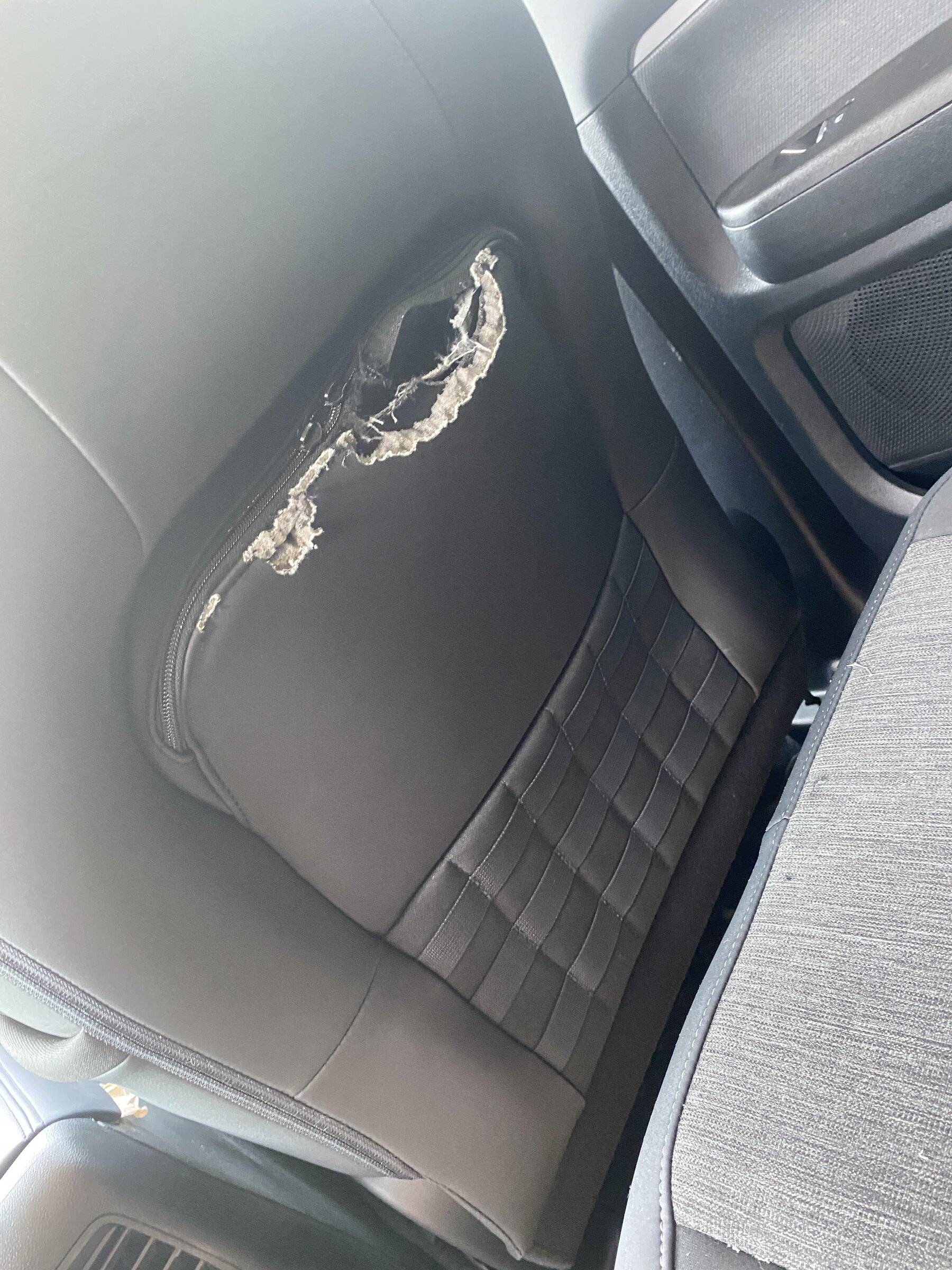 Ford Bronco Sport Rodents entering and exiting considered defect? A91EB44A-089E-4F44-9CAB-1549B07F10EC