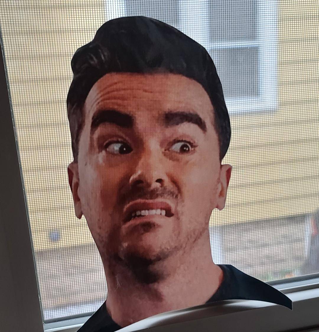 Ford Bronco Sport Whats your BS's name and why david