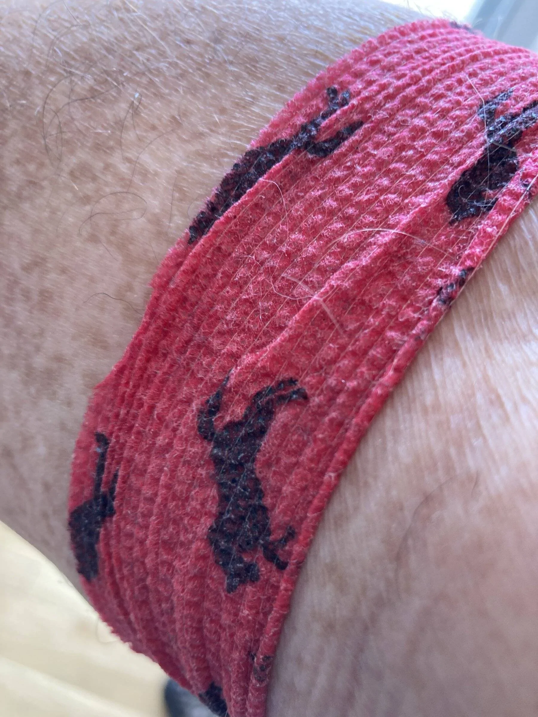 Ford Bronco Sport What are the chances? 5E857400-7ACC-4E12-B7A8-89E51ABB7AD9