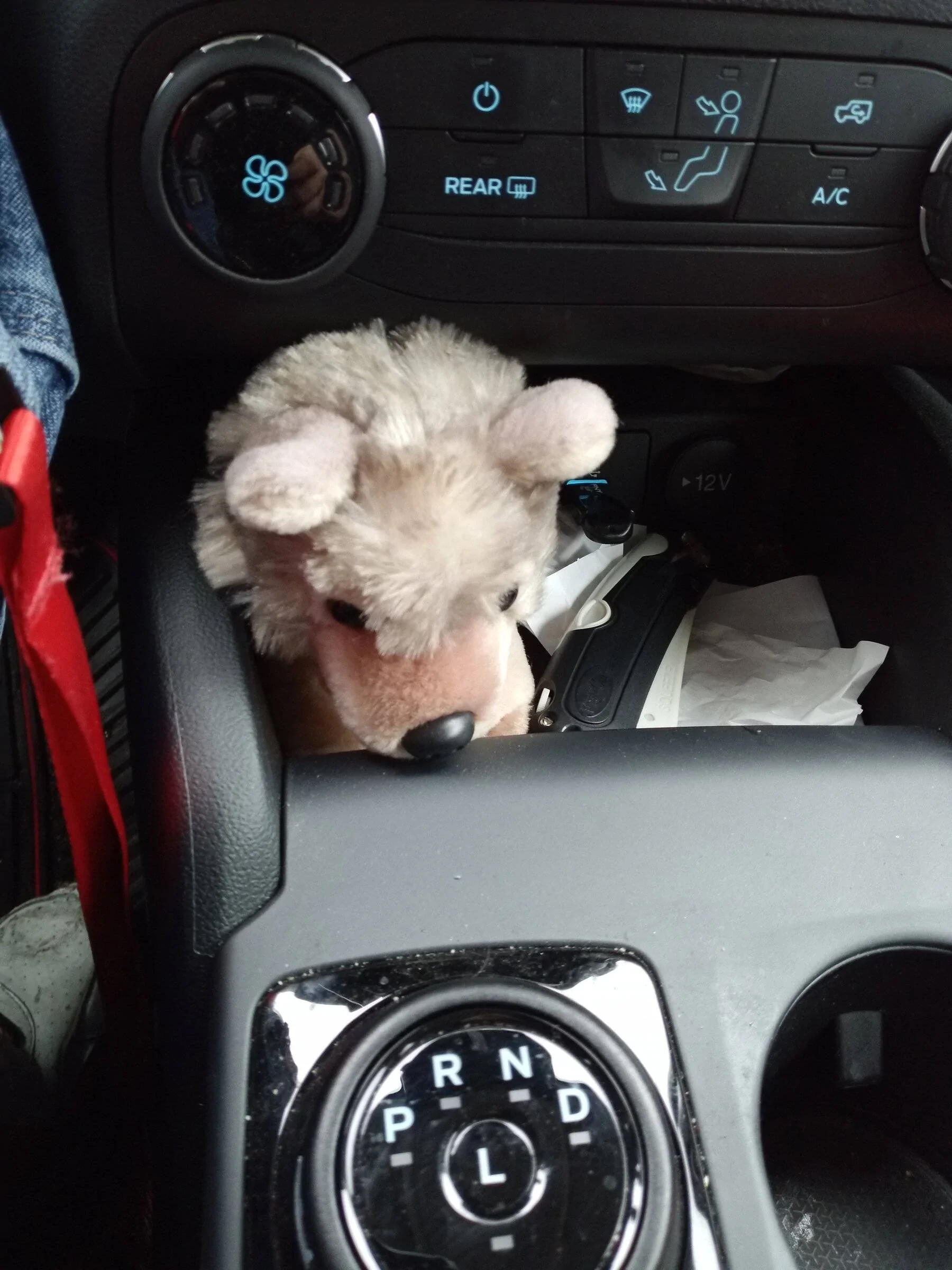 Ford Bronco Sport Whats your BS's name and why IMG_20211216_115751_307