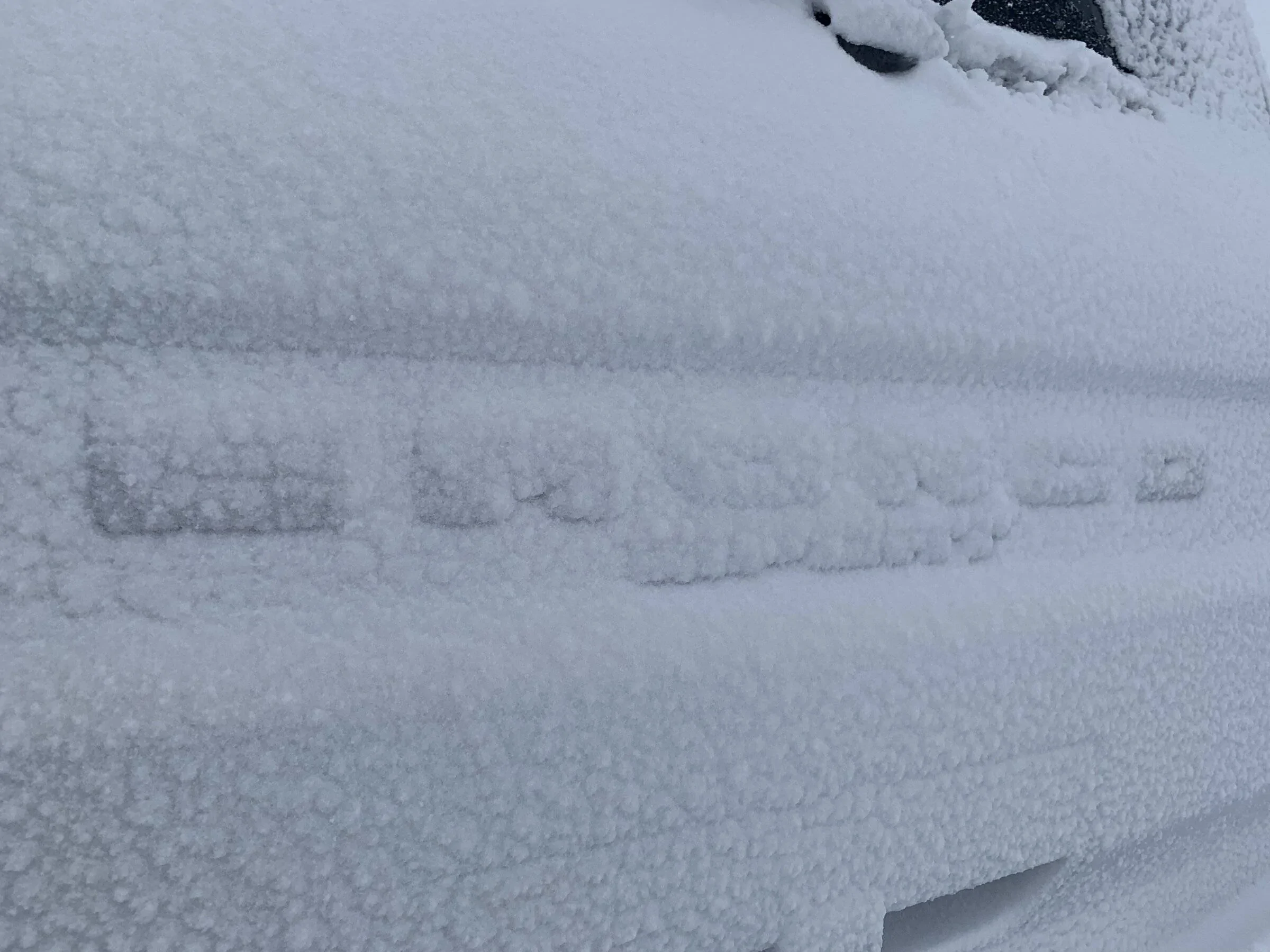 Ford Bronco Sport Post the best photos you've got of your Bronco Sport 412CB355-2C9D-45AD-AA5E-7D10A4F7A1D7