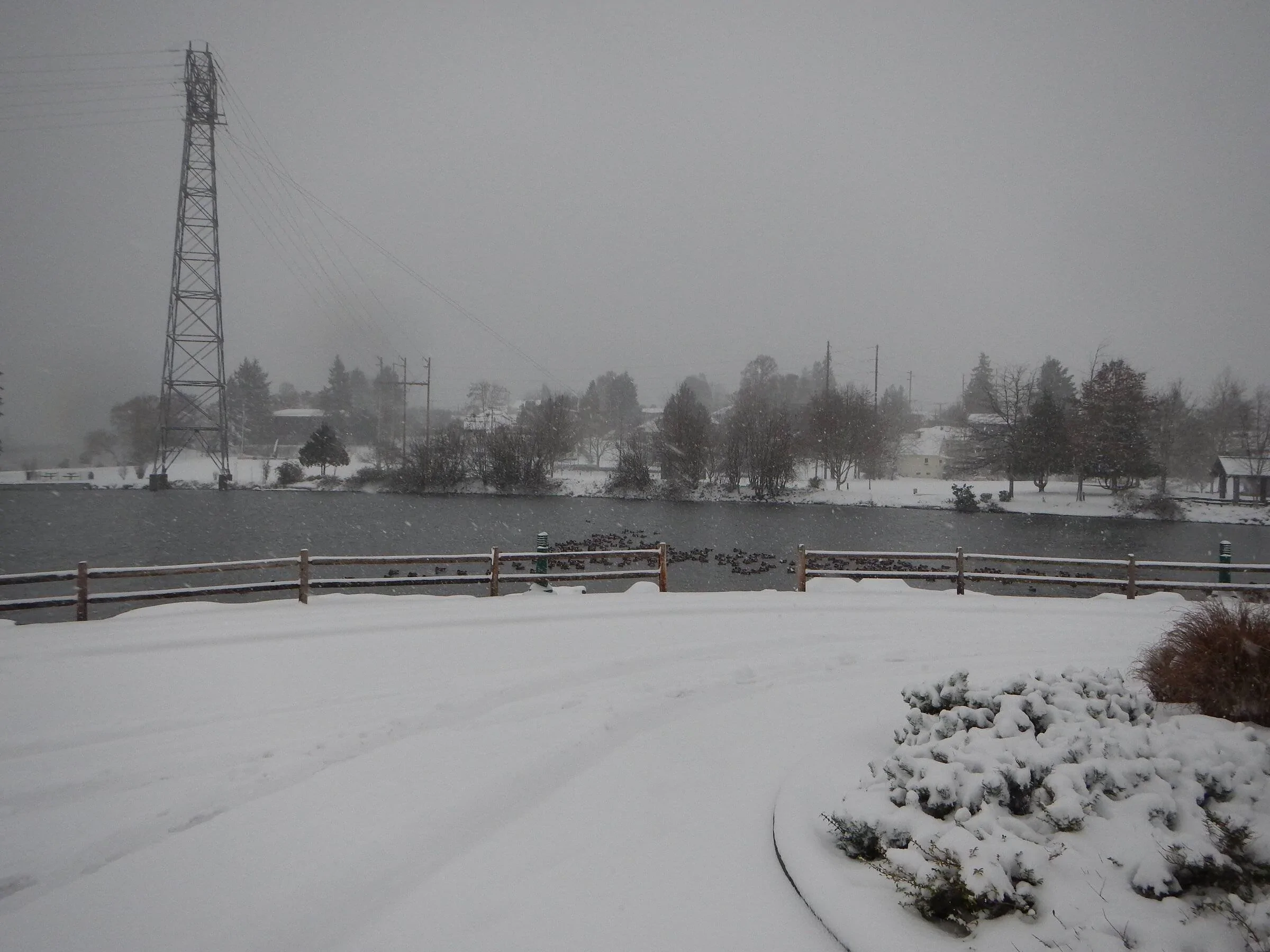 Ford Bronco Sport Blast to drive in the snow!! DSCN7132