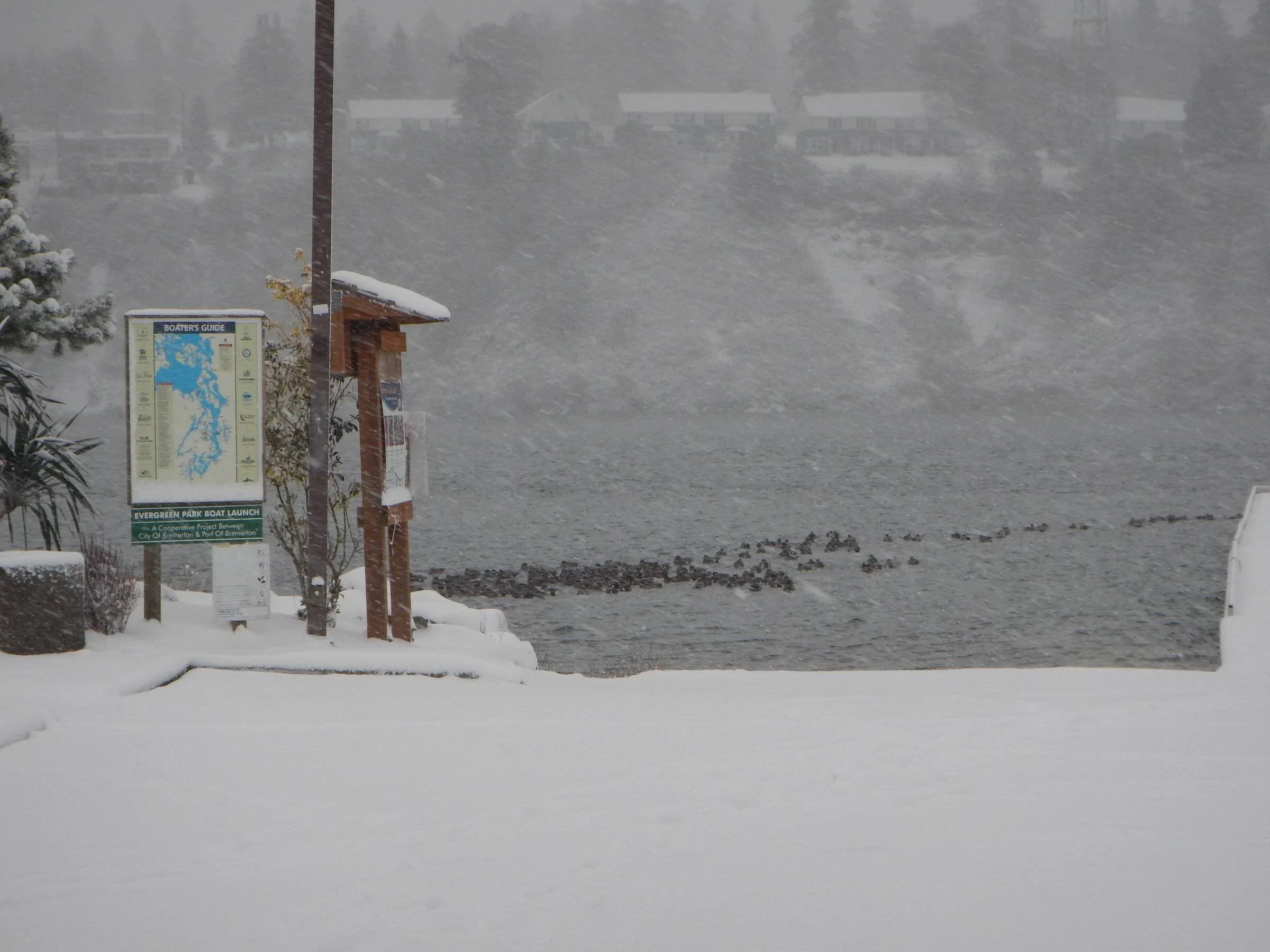 Ford Bronco Sport Blast to drive in the snow!! DSCN7130