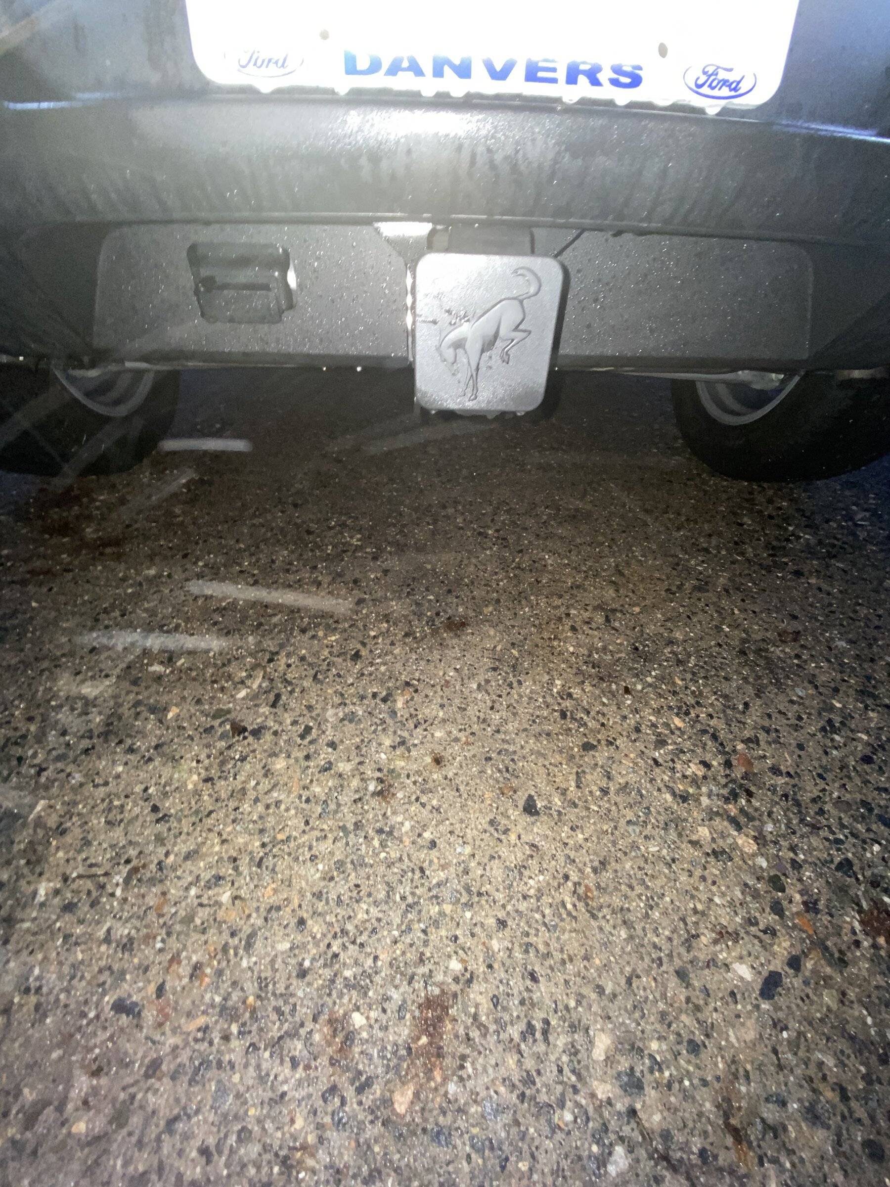 Ford Bronco Sport What did you do TO your Bronco Sport today? IMG_8395.JPG