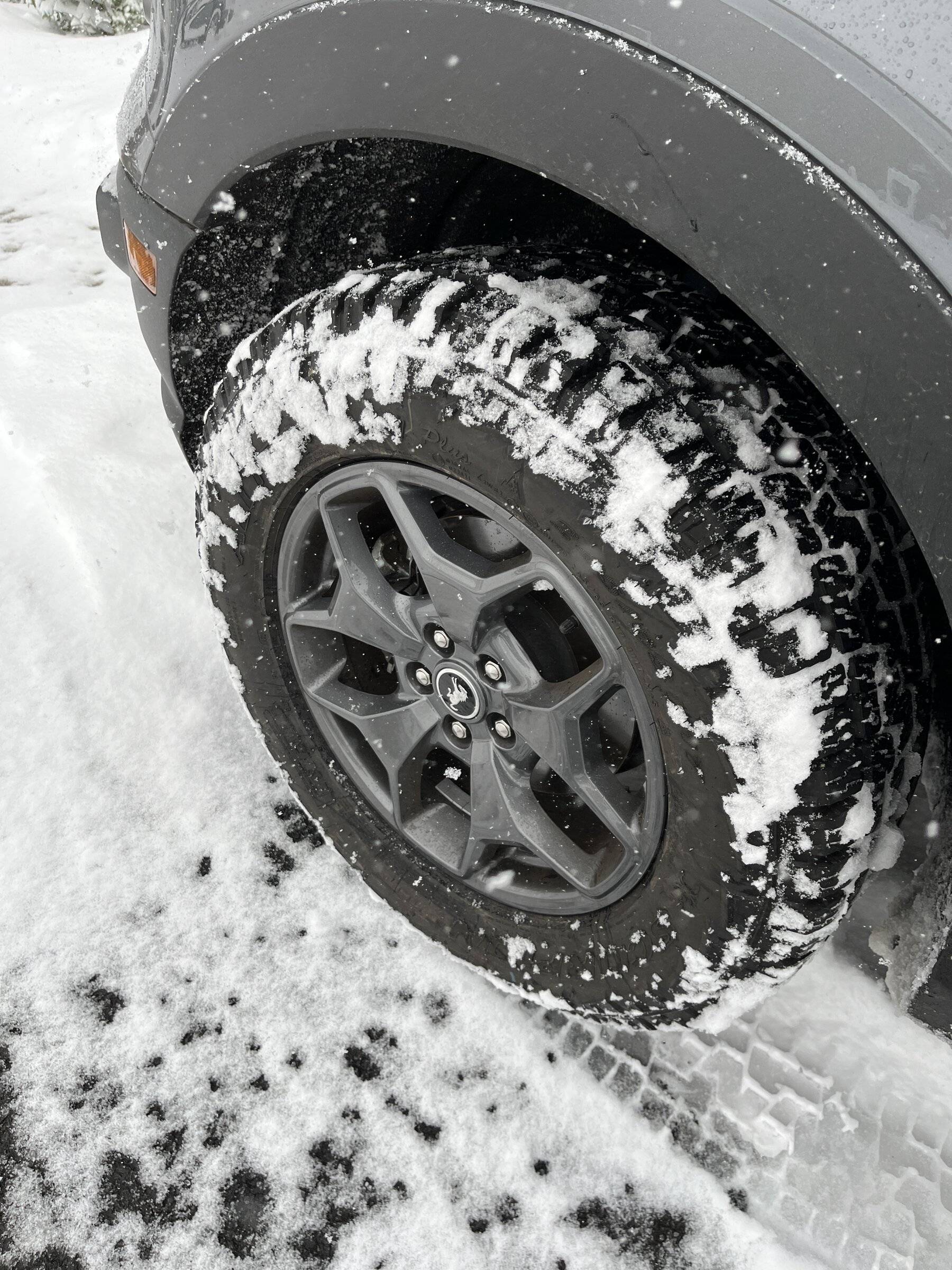 Ford Bronco Sport Post the best photos you've got of your Bronco Sport 7FD4EF49-615F-4C40-B971-BB4EA181886C