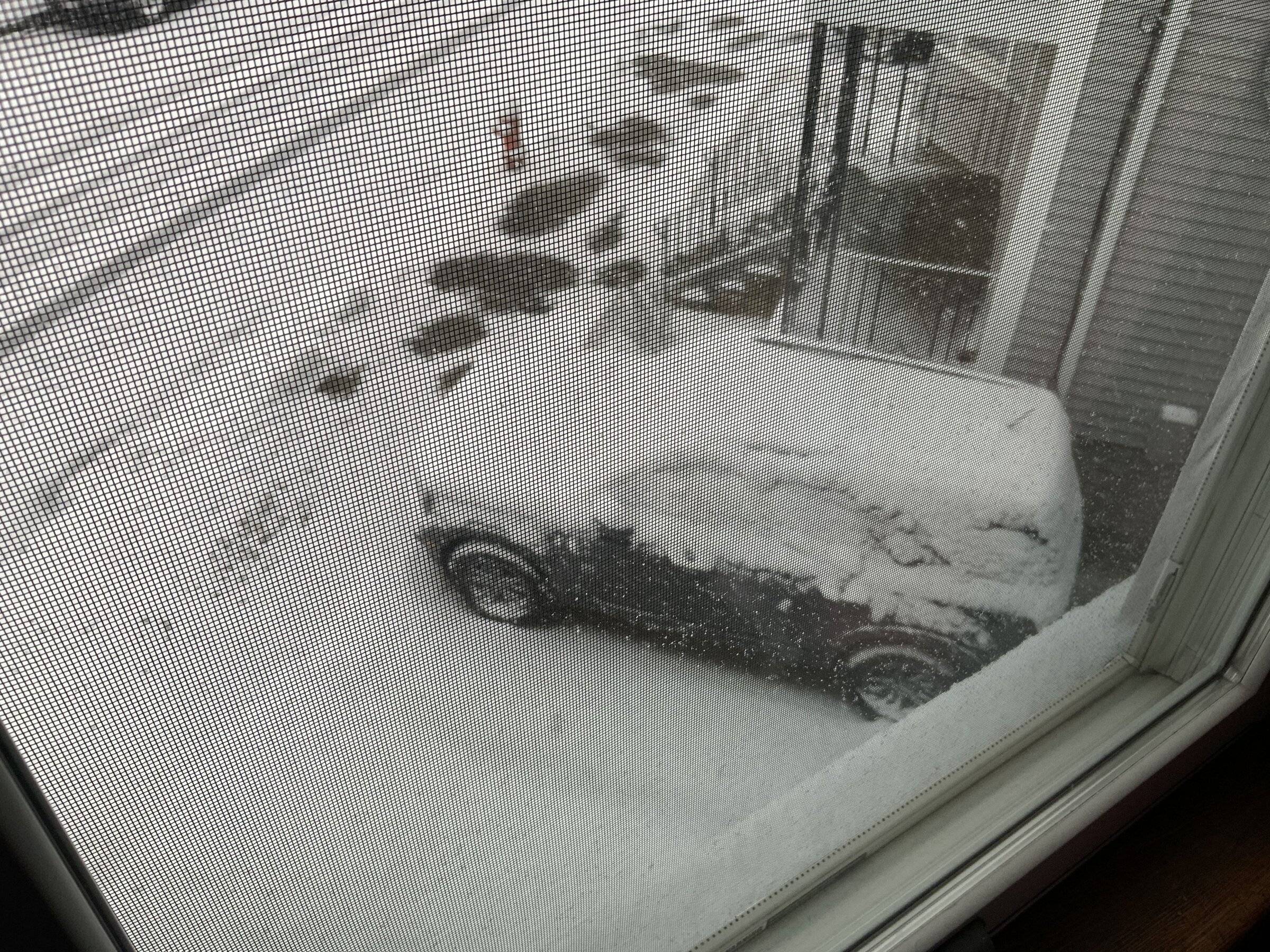 Ford Bronco Sport Post the best photos you've got of your Bronco Sport D7ABDEC6-C9E5-43DC-969A-4001BCCD6437