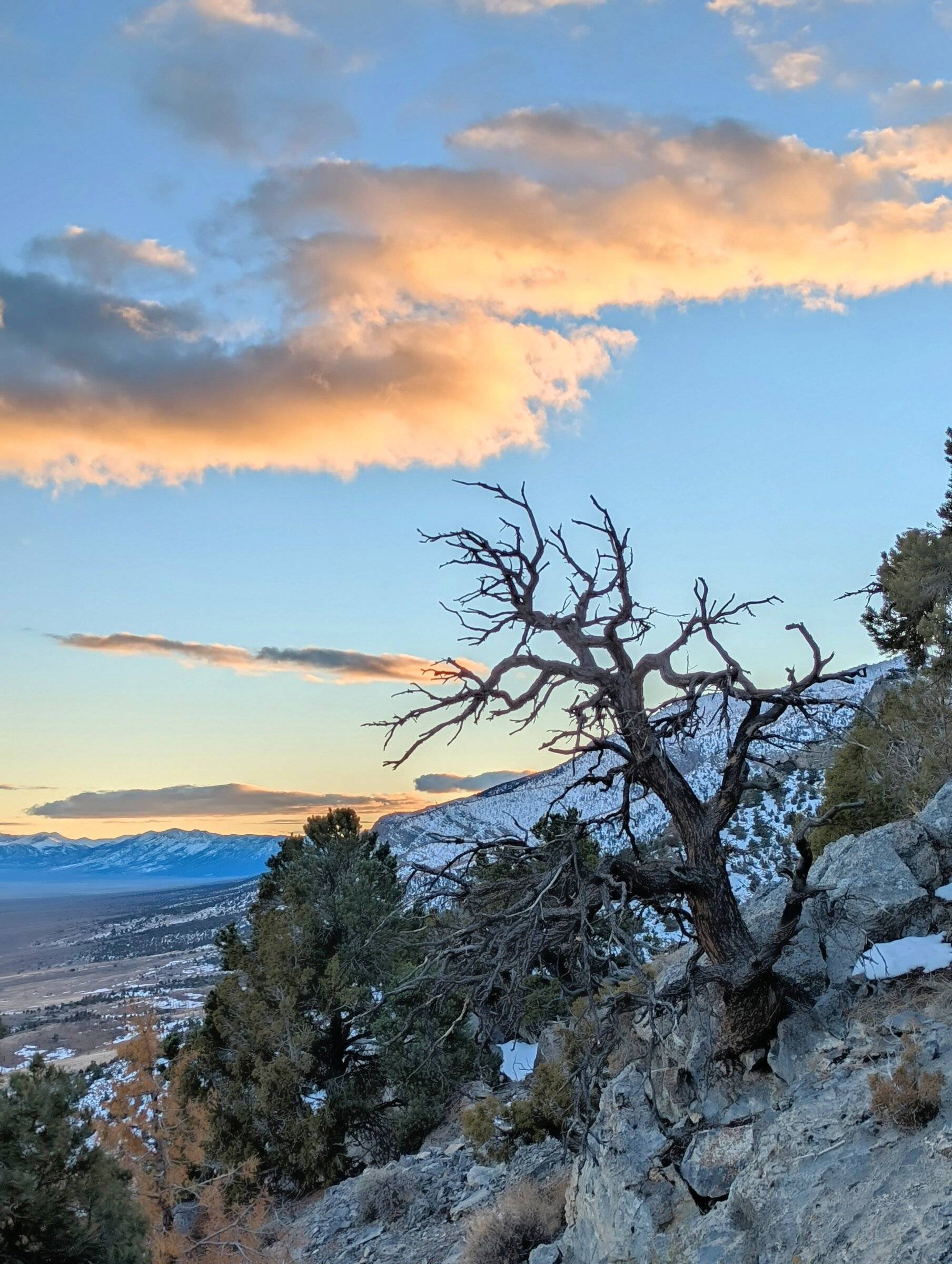 Ford Bronco Sport My 2022 Badlands camping trip and photo journal PXL_20220109_002246877~2