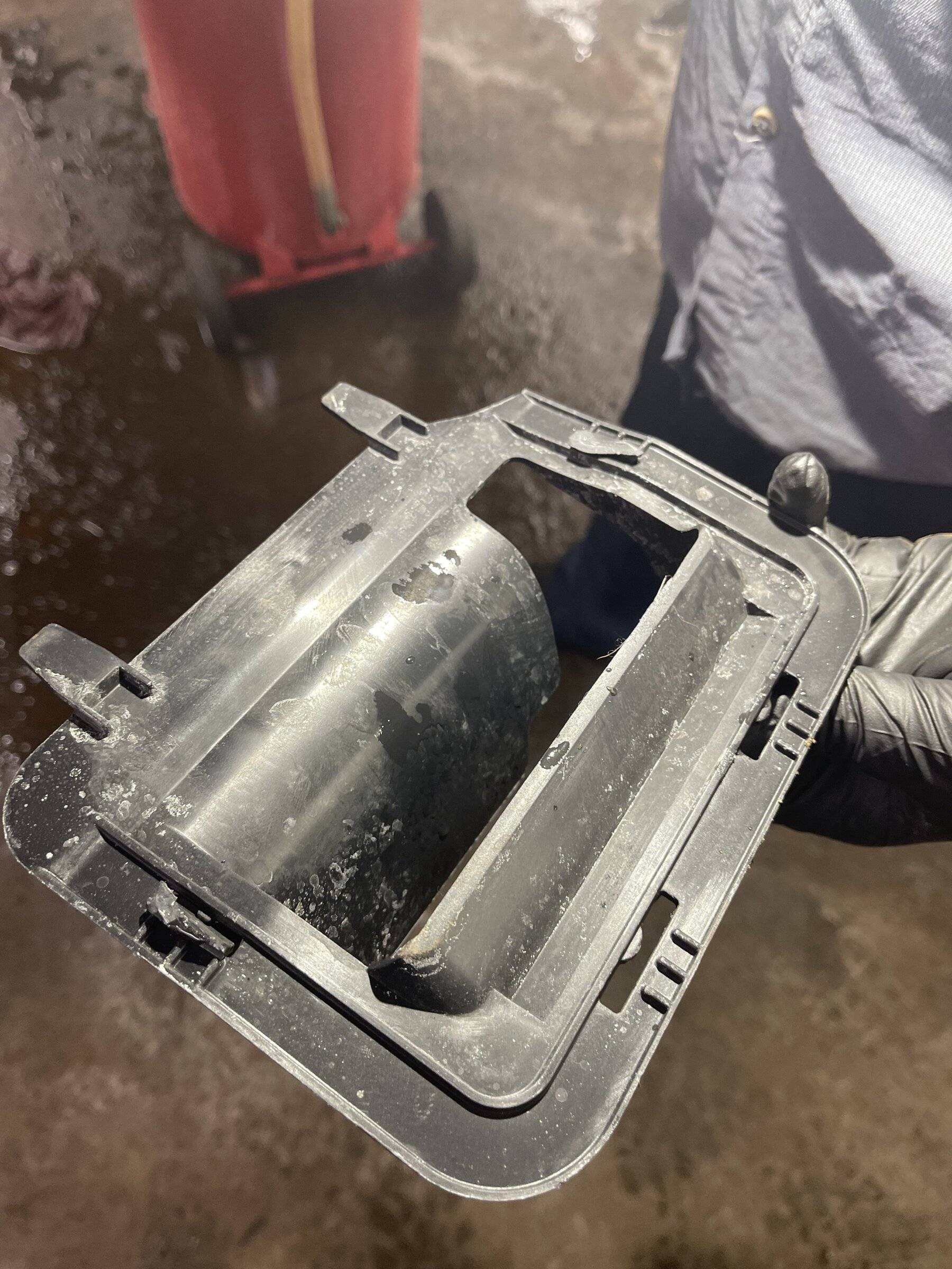 Ford Bronco Sport BS BB Ran Over Dead Deer deer2