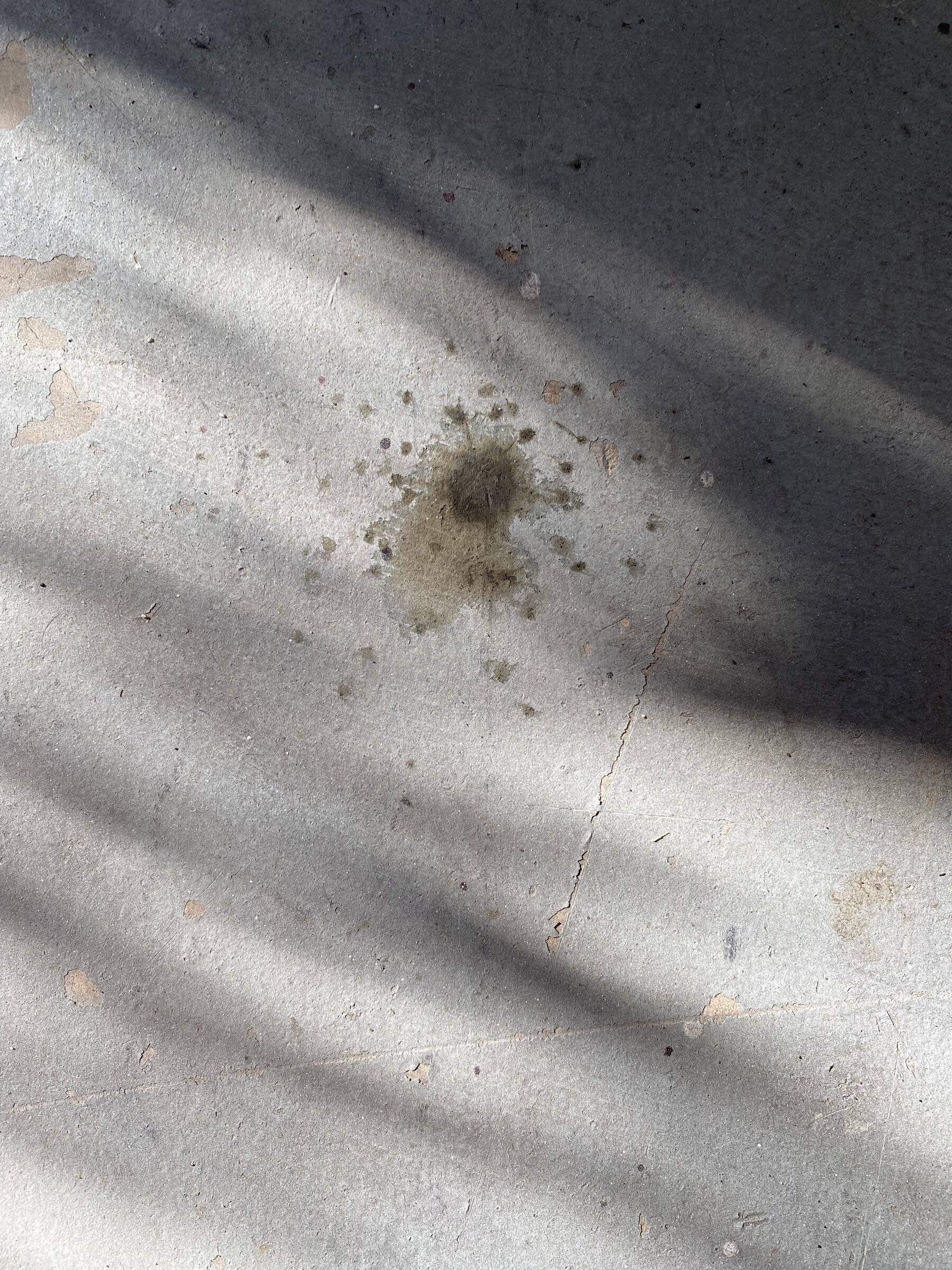 Ford Bronco Sport Strange Leak bs leak on floor