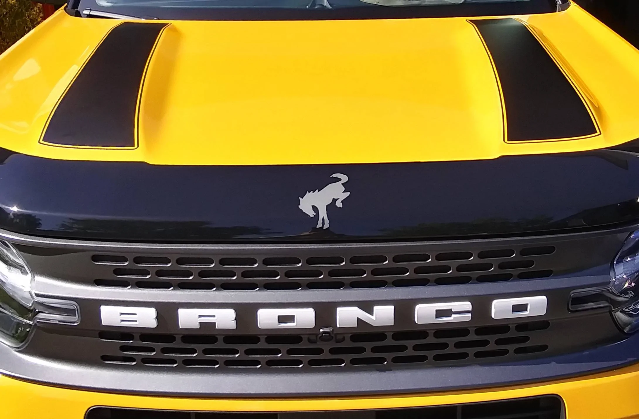 Ford Bronco Sport Hood bulge glare 20210515_163529_HDR_hoodcro