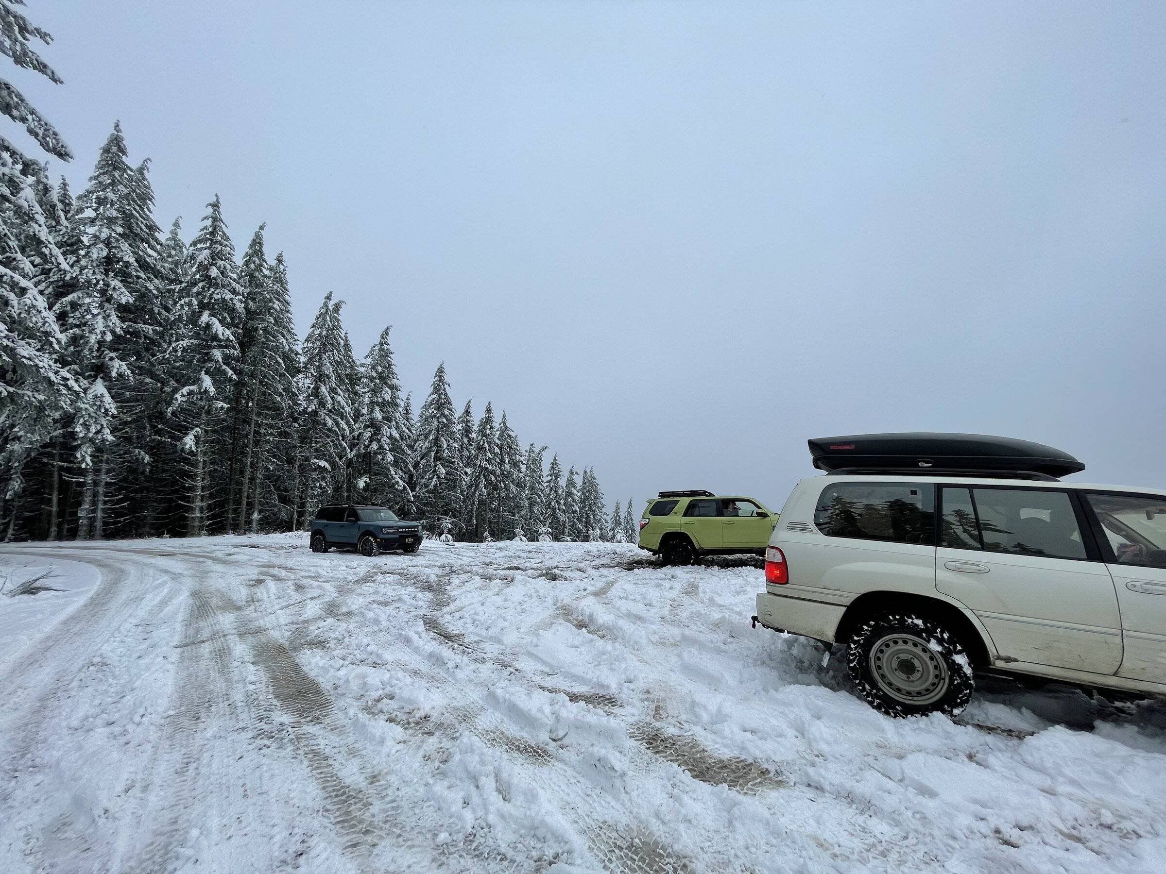Ford Bronco Sport Where have you gone today in your BS: Light Edition IMG_6946