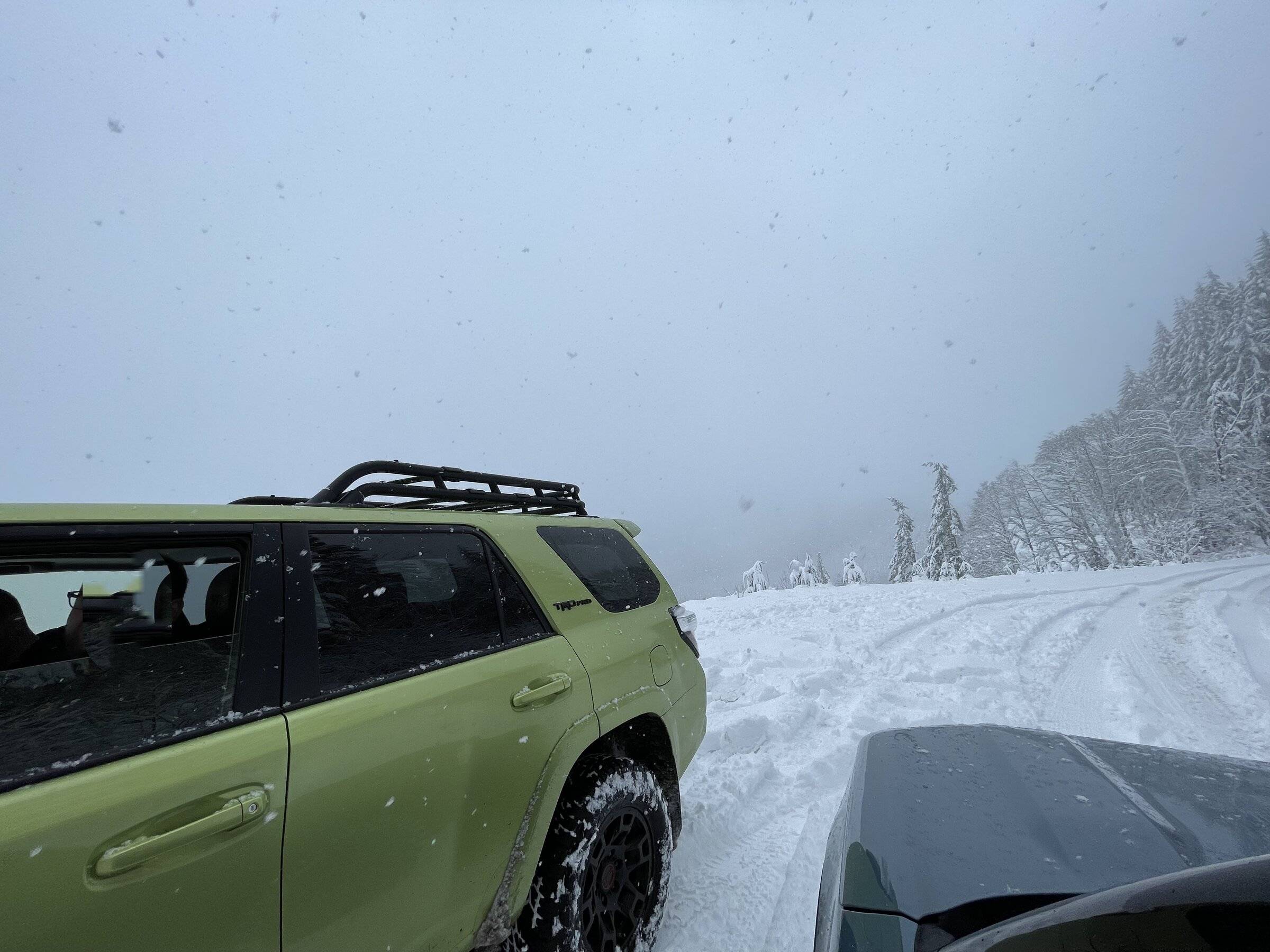 Ford Bronco Sport Where have you gone today in your BS: Light Edition IMG_R_0094