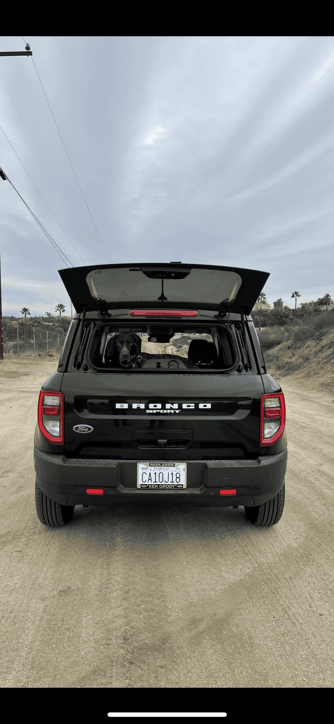 Ford Bronco Sport Show me your dogs!! CD084C66-842A-4C0D-9E16-56D4E505CFA3