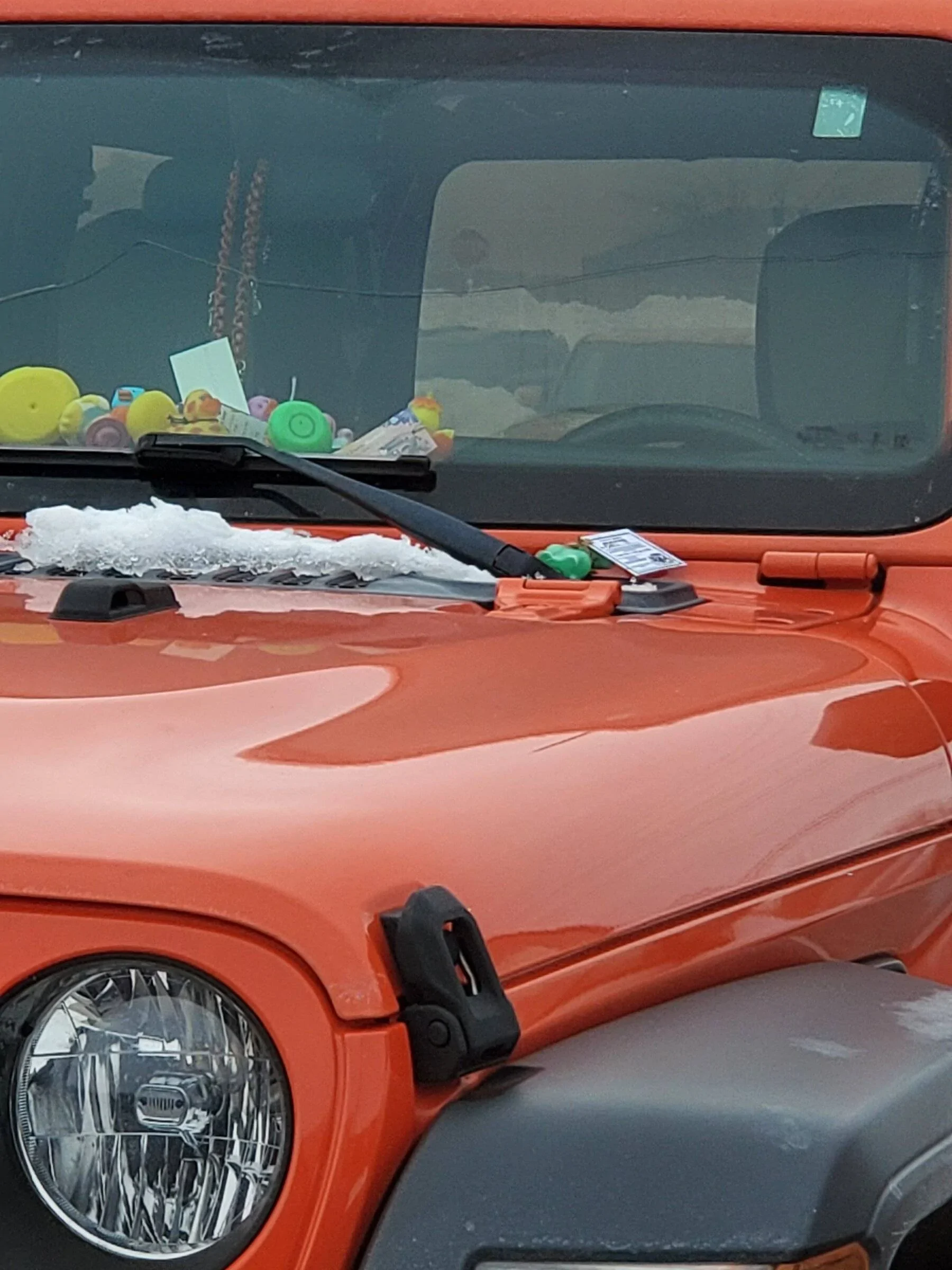 Ford Bronco Sport Buck Buck Bronco 20220207_150210