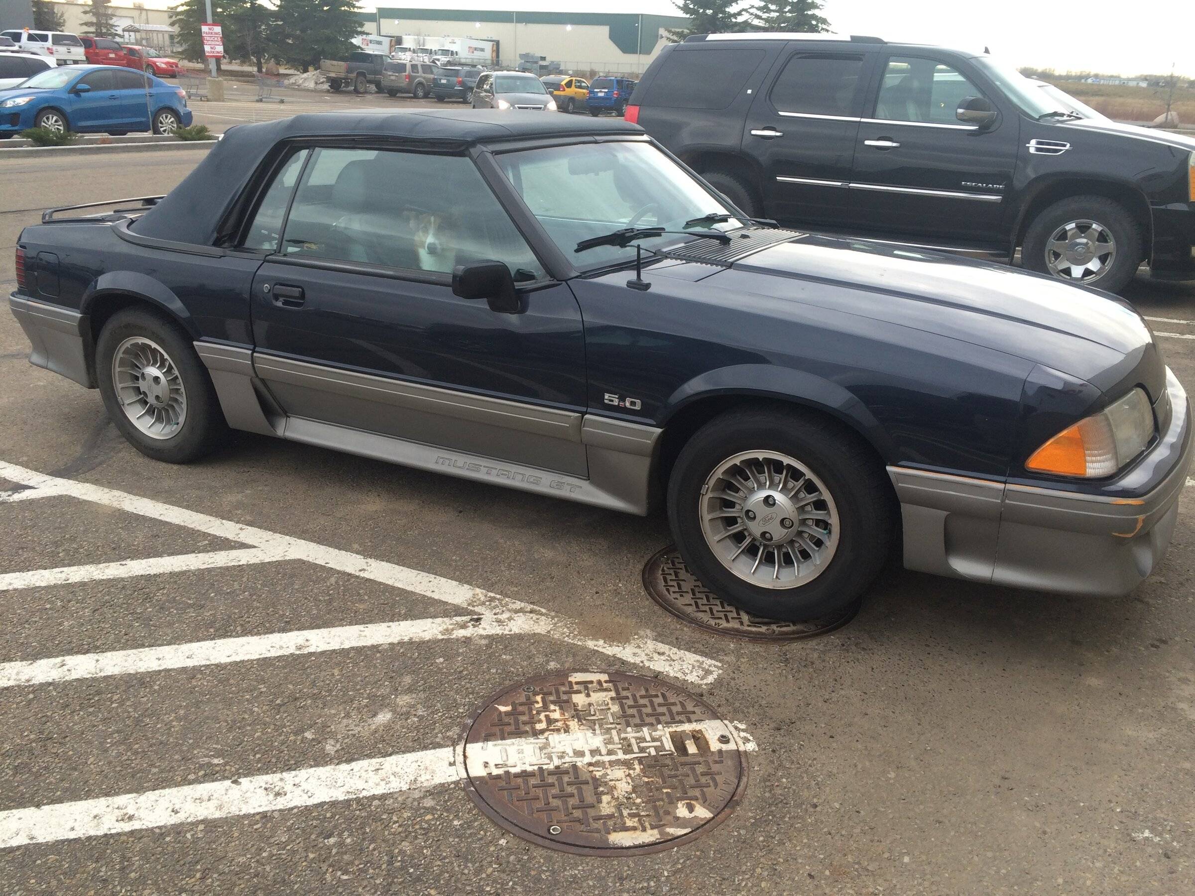 Ford Bronco Sport Non BS car porn. 1644442181576