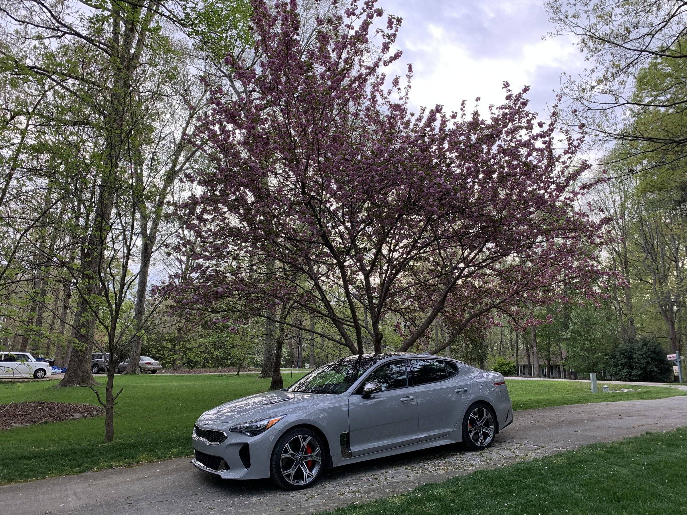Ford Bronco Sport Non BS car porn. IMG-2892