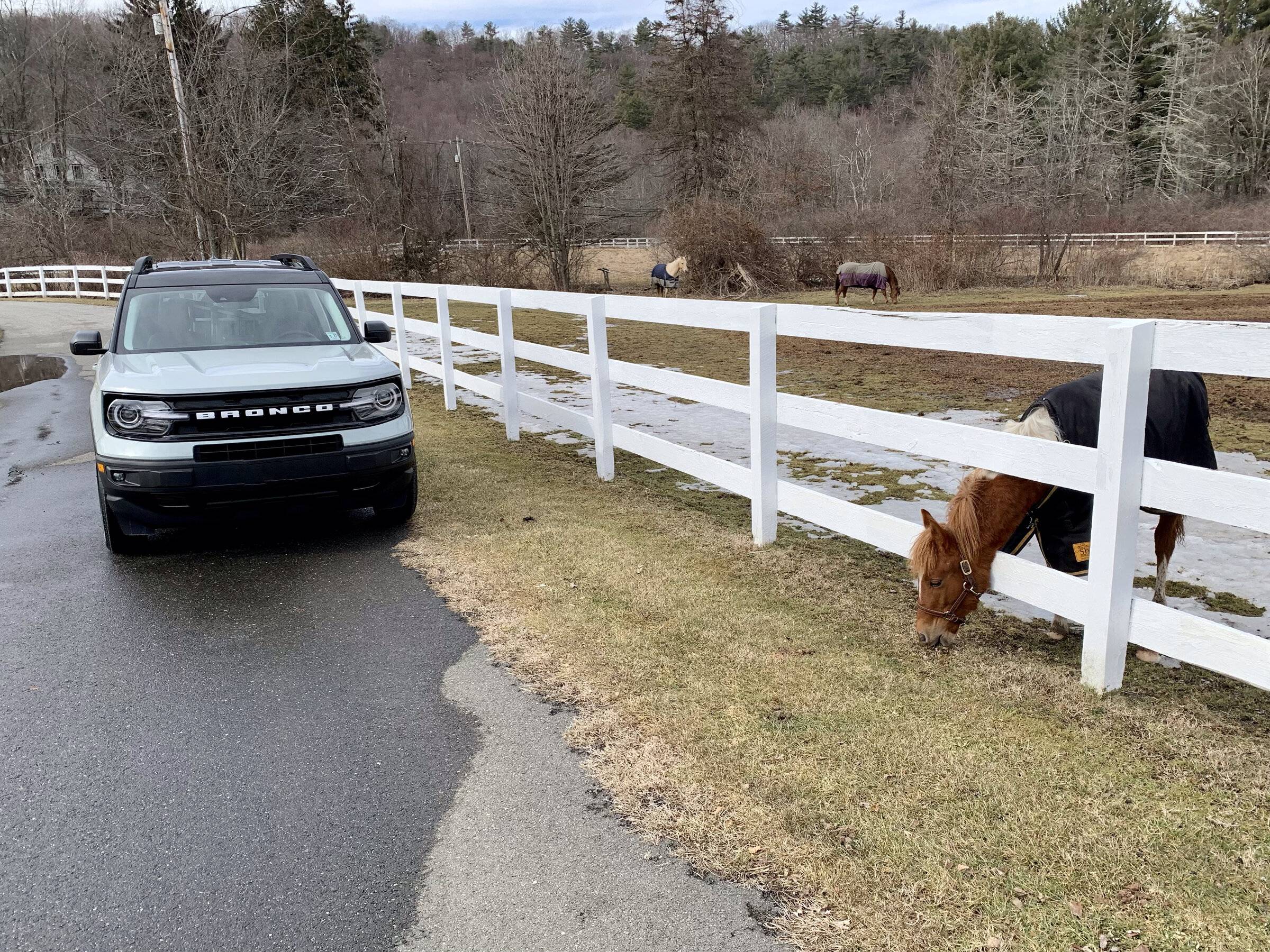 Ford Bronco Sport Post the best photos you've got of your Bronco Sport 3812C8D3-8109-401B-80CE-ACB3C896B4B6