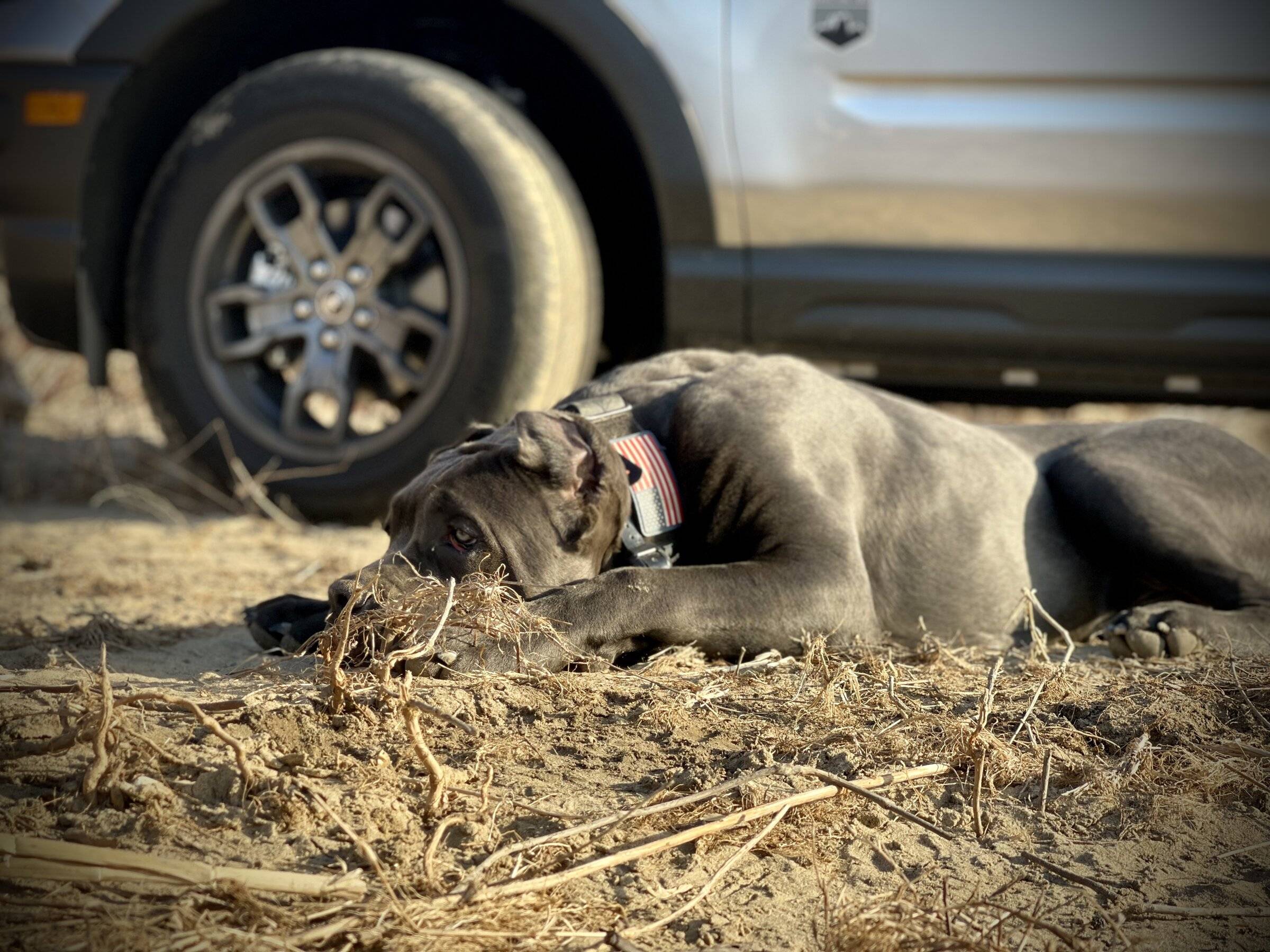 Ford Bronco Sport Post the best photos you've got of your Bronco Sport BF57EFF2-9F52-40D6-B52D-FF9F058C0A00