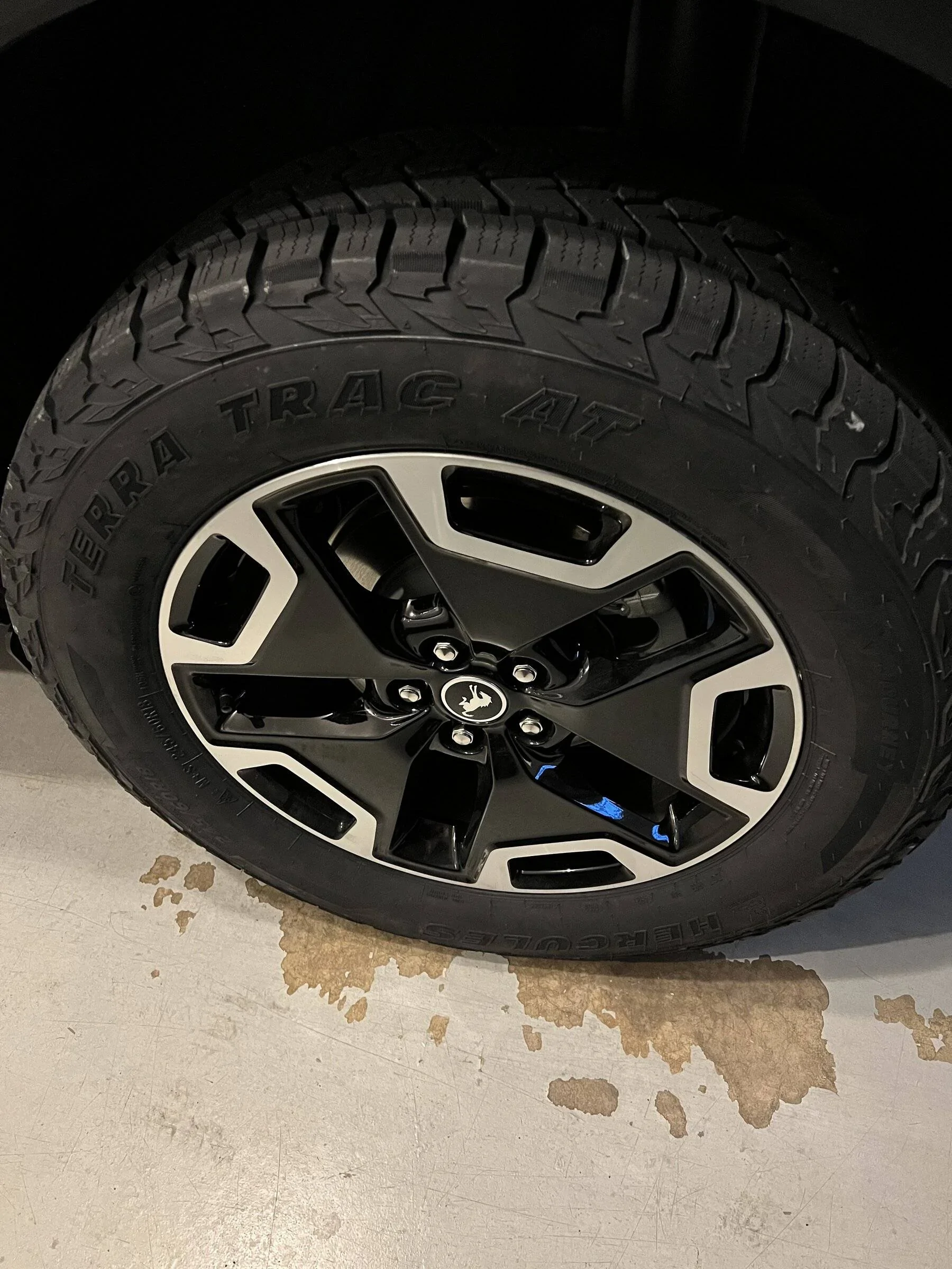 Ford Bronco Sport HRG Engineering 1.5” Lift 40CEA63A-05BF-40C4-84F5-4C43507F3396