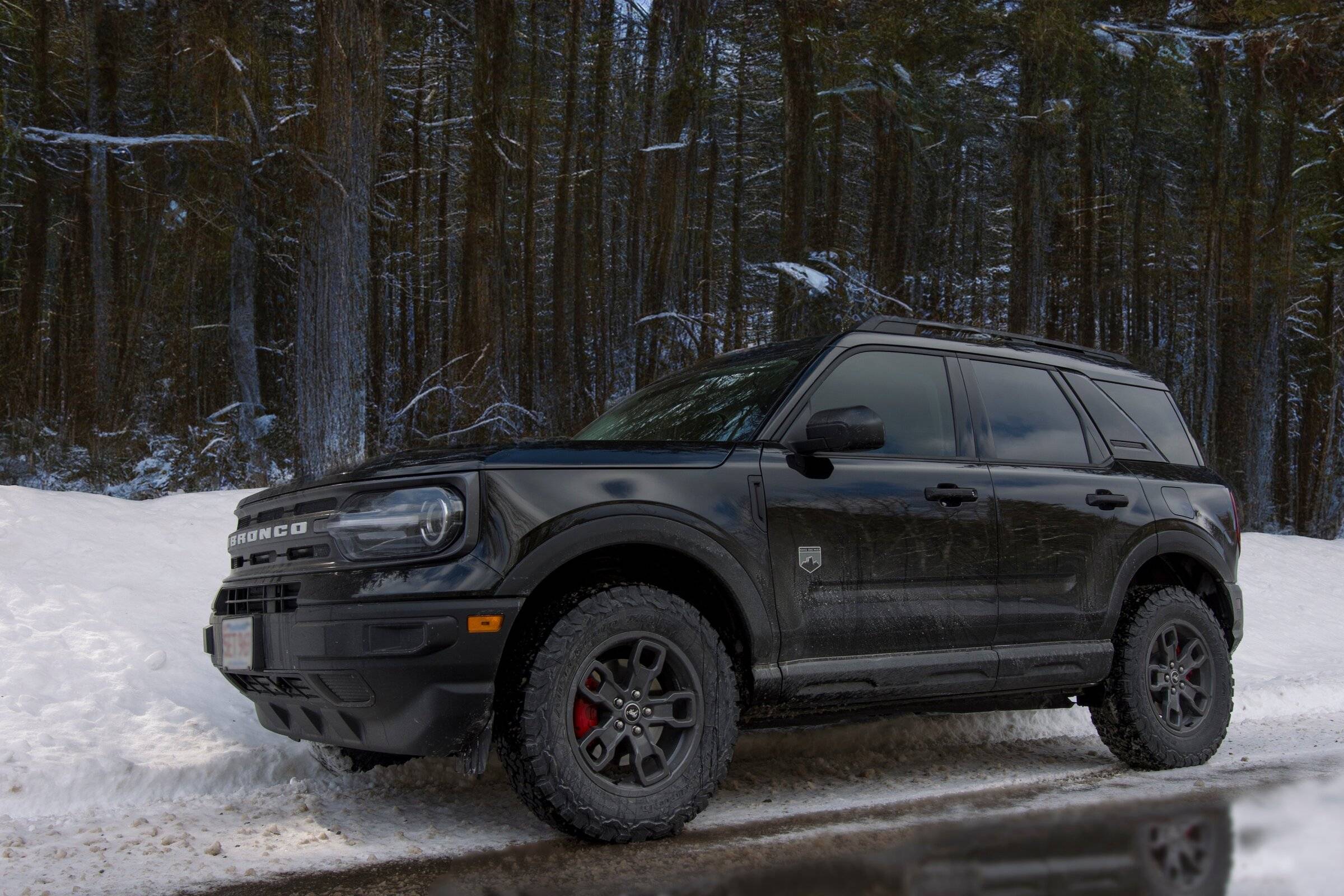 Ford Bronco Sport Official SHADOW BLACK Bronco Sport Thread DSC_4949 copy