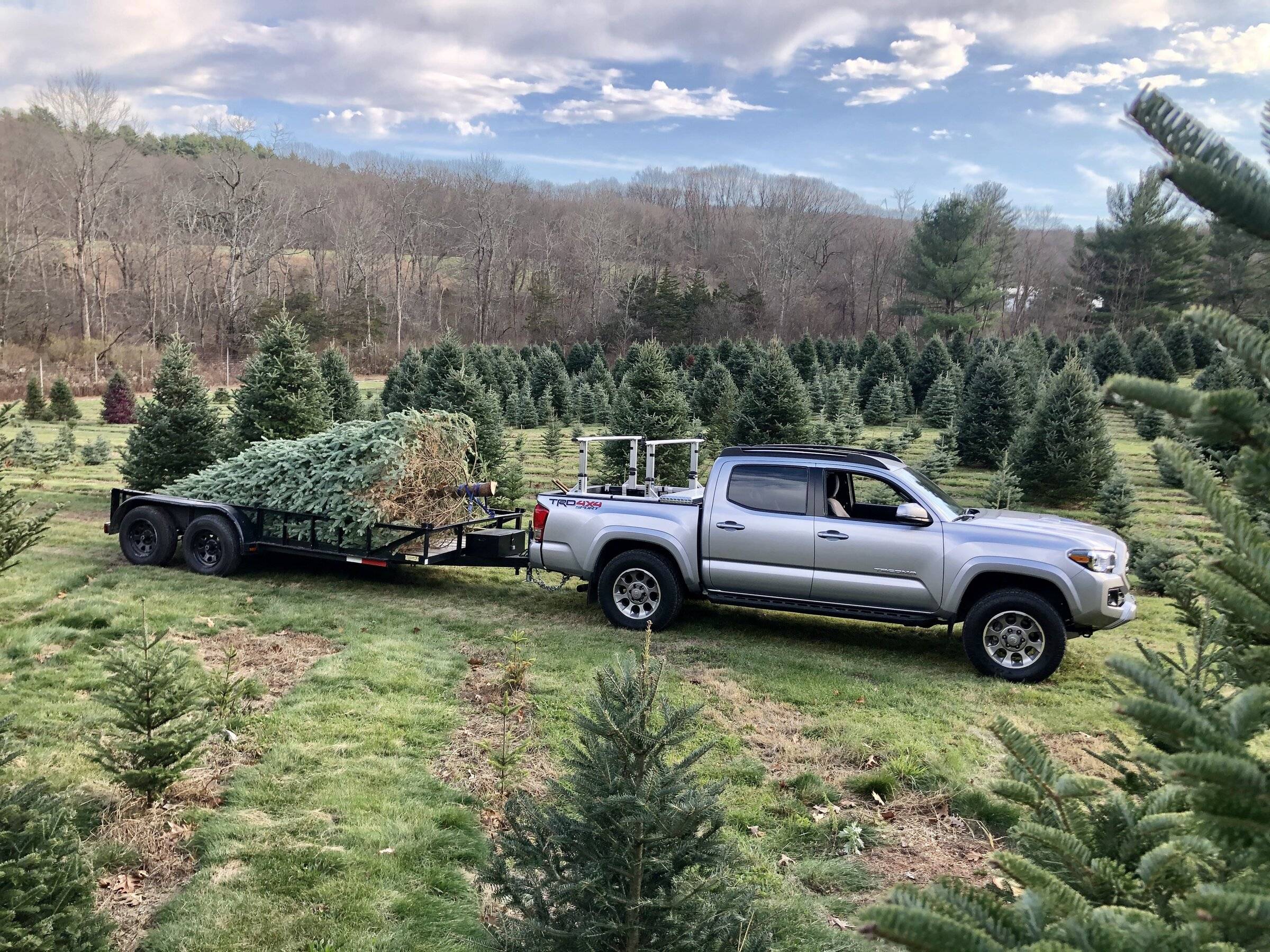 Ford Bronco Sport What were you driving prior to your BS? 55A72B16-B8FC-491A-8405-6554F98598CE
