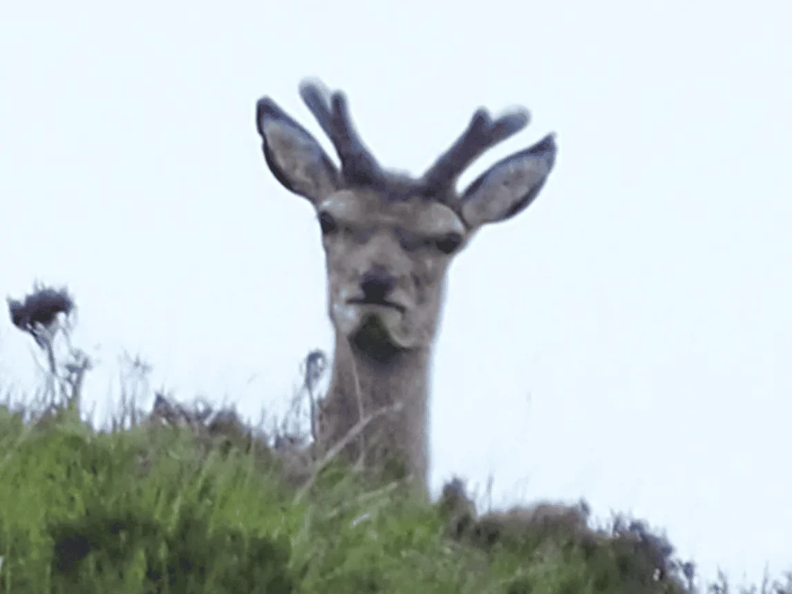 Ford Bronco Sport Got my Bronco Badlands coin today 1646875596974