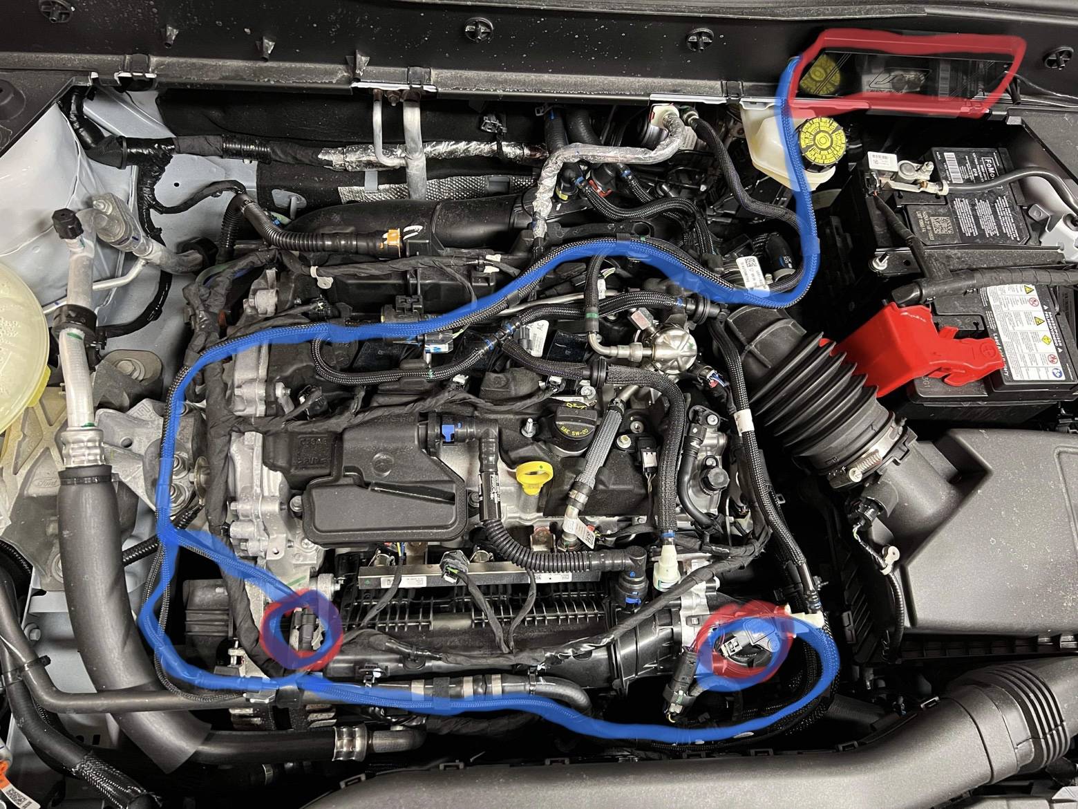 Ford Bronco Sport Pulled the trigger on a JB4 0DDE3EF2-A364-4F17-9BCC-559A01C046A6