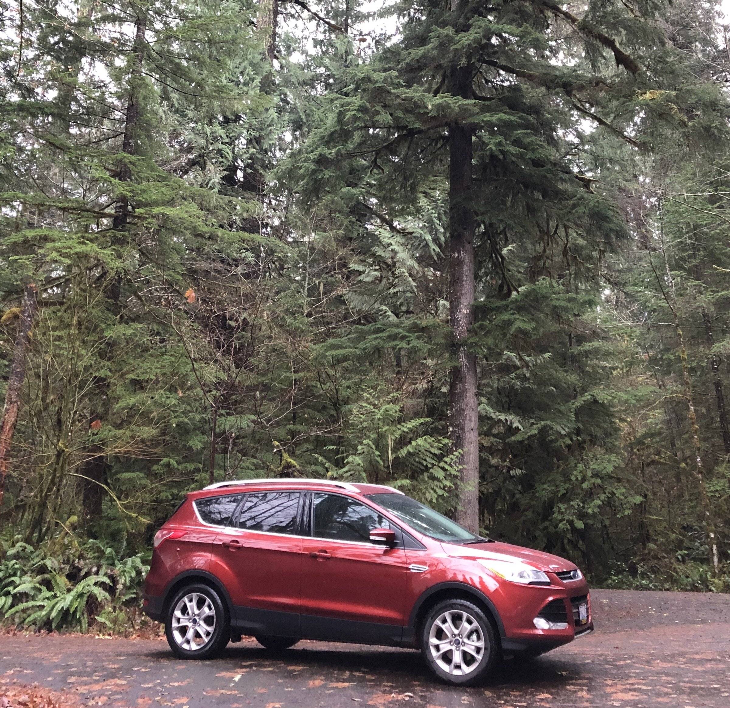 Ford Bronco Sport What dealer markups did you get on your Bronco Sport? IMG_4888