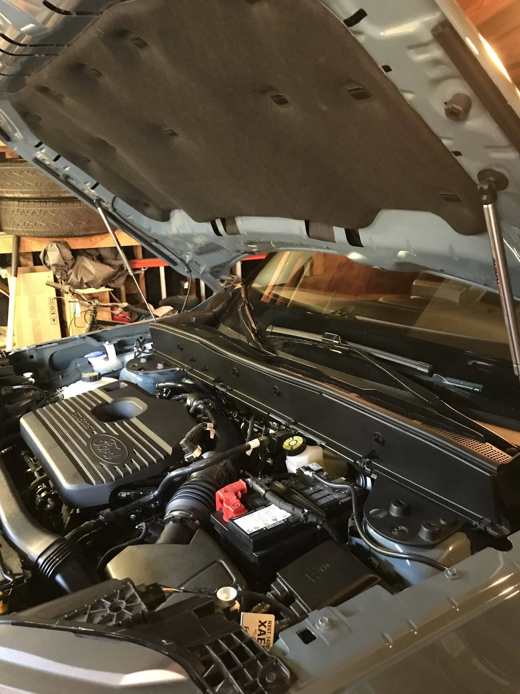 Ford Bronco Sport Official AREA 51 Bronco Sport Thread E5C8207C-C016-425C-BD9B-1AADF98D5393