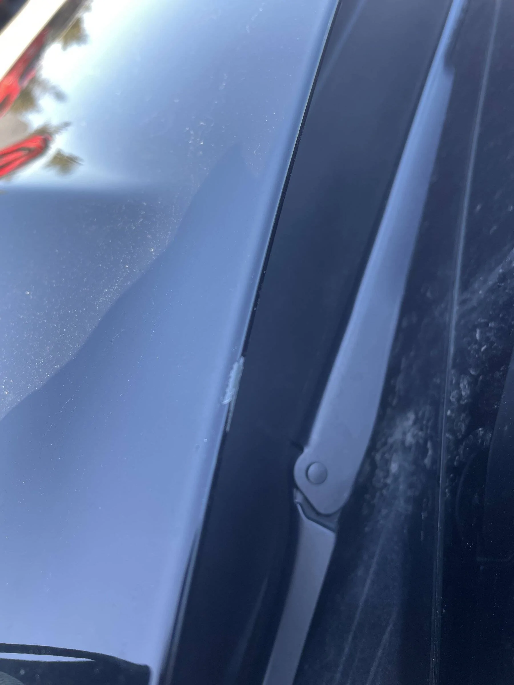 Ford Bronco Sport We love our BS.... but name one thing you dislike about it FE5EC8E1-790C-46FF-A707-2351623C8875