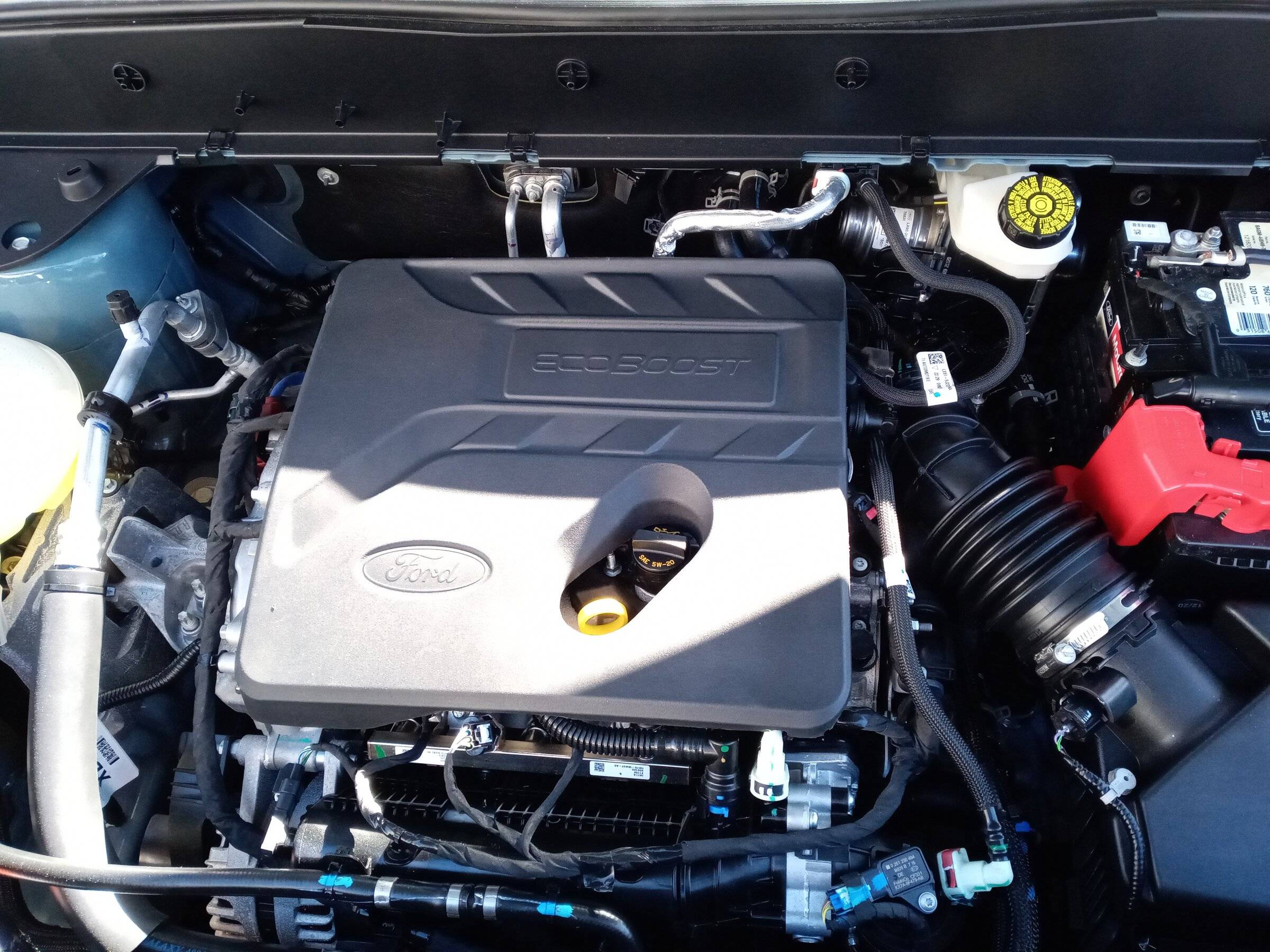 Ford Bronco Sport What did you do TO your Bronco Sport today? IMG_20220322_092755