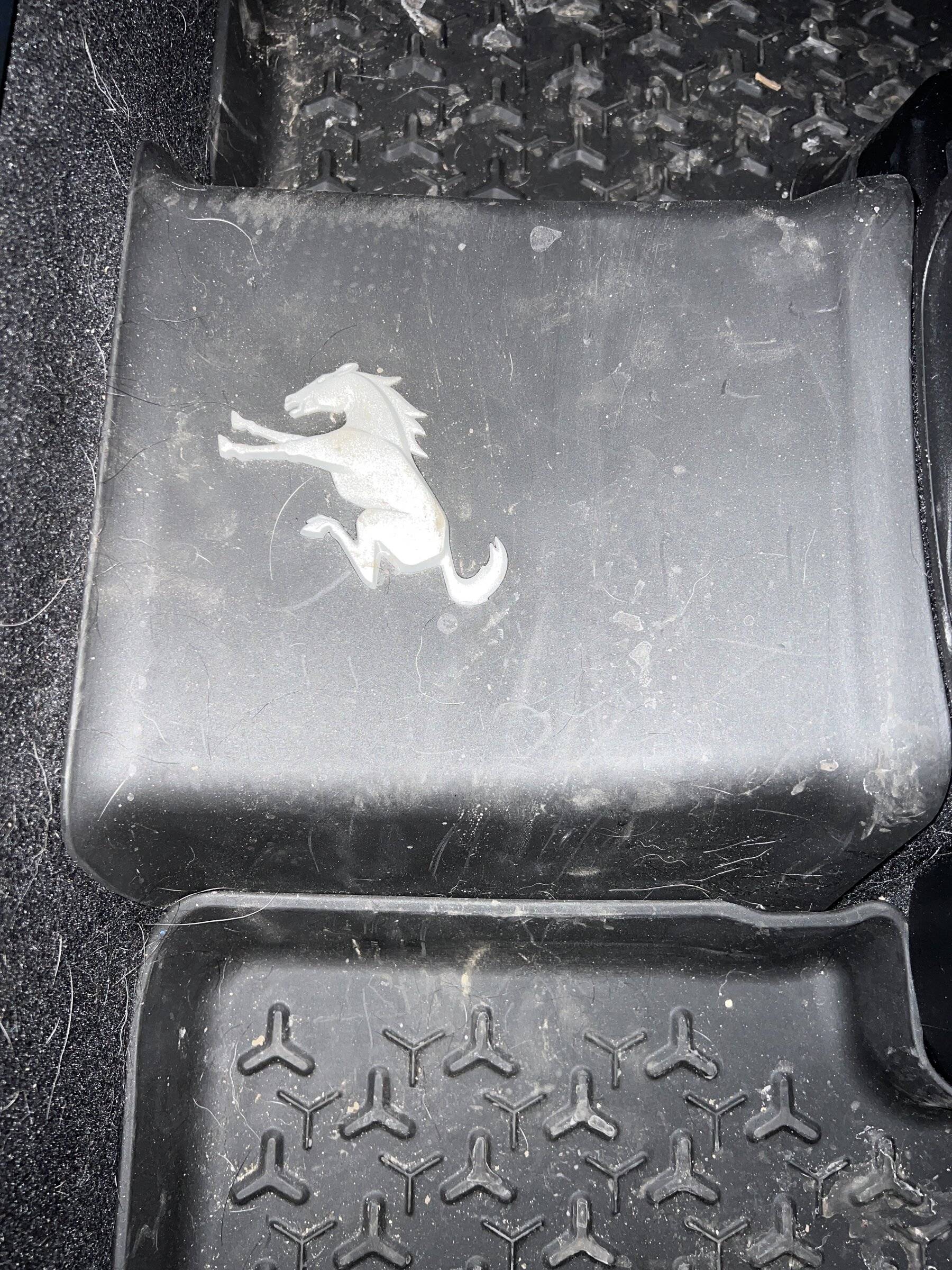 Ford Bronco Sport Not Enough Buckaroos image