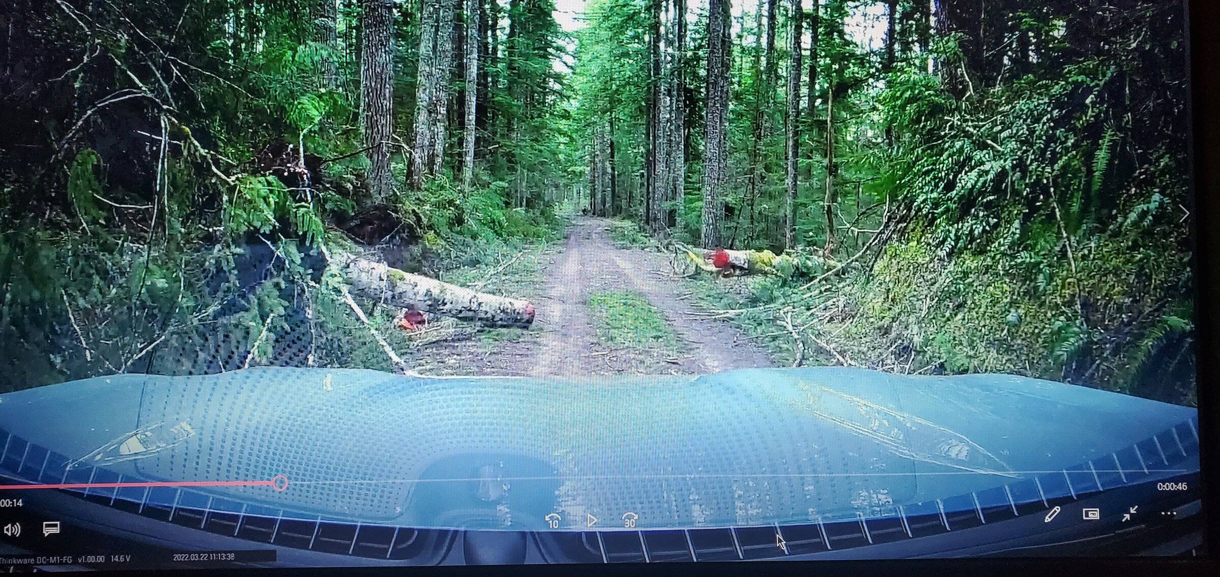 Ford Bronco Sport Badlands first time off-road in the Olympic Peninsula. 20220326_183734 (1)